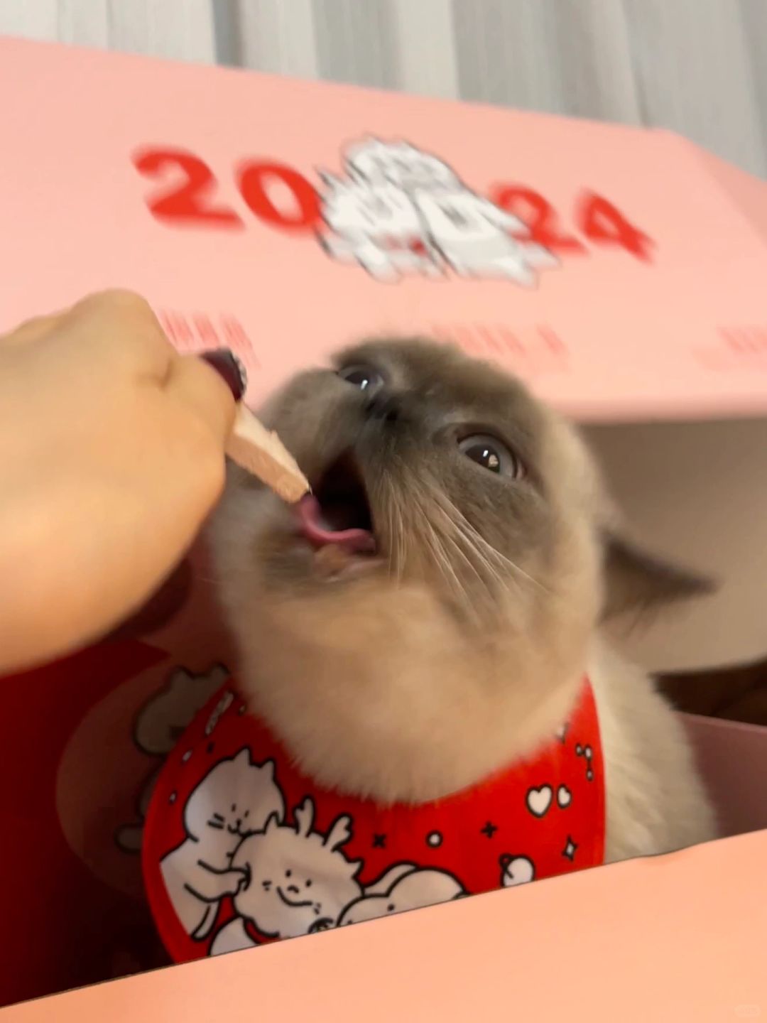 这就是live图的意义吧