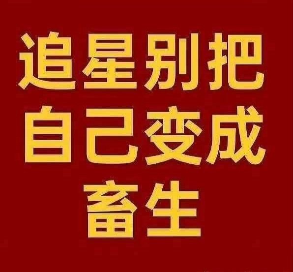 送给张翅的粉丝们 
