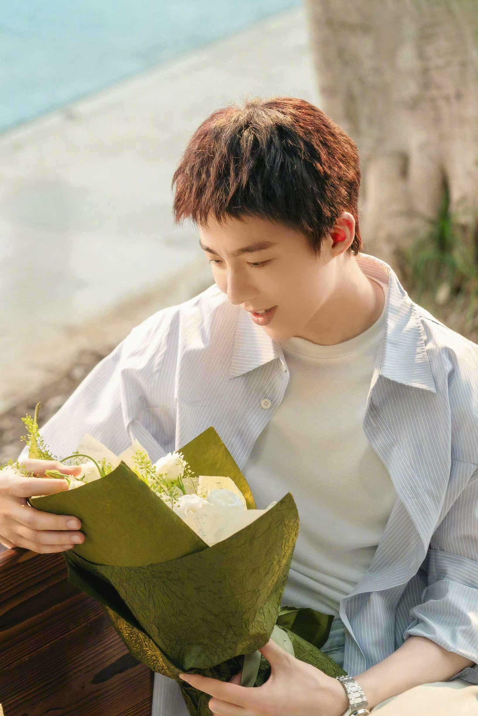 晚安小贝。晚安宇宁。晚安💤……刘宇宁 |刘宇宁玫瑰丛生 |摩登兄弟