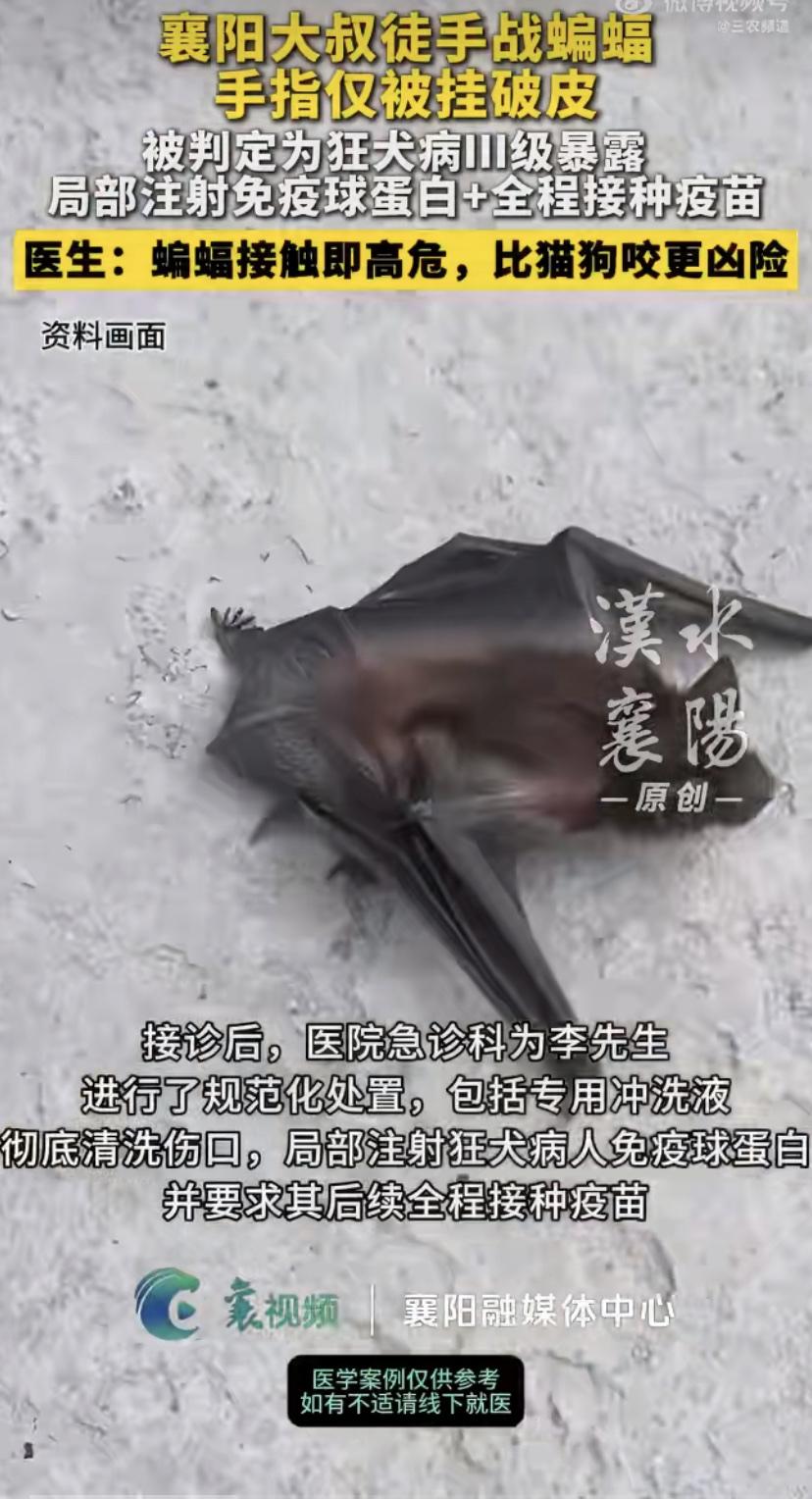 这事儿真是让人后怕!湖北襄阳一位50岁的大哥，在家碰见蝙蝠误闯进来，寻思着徒手给