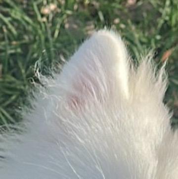 猜猜我是谁