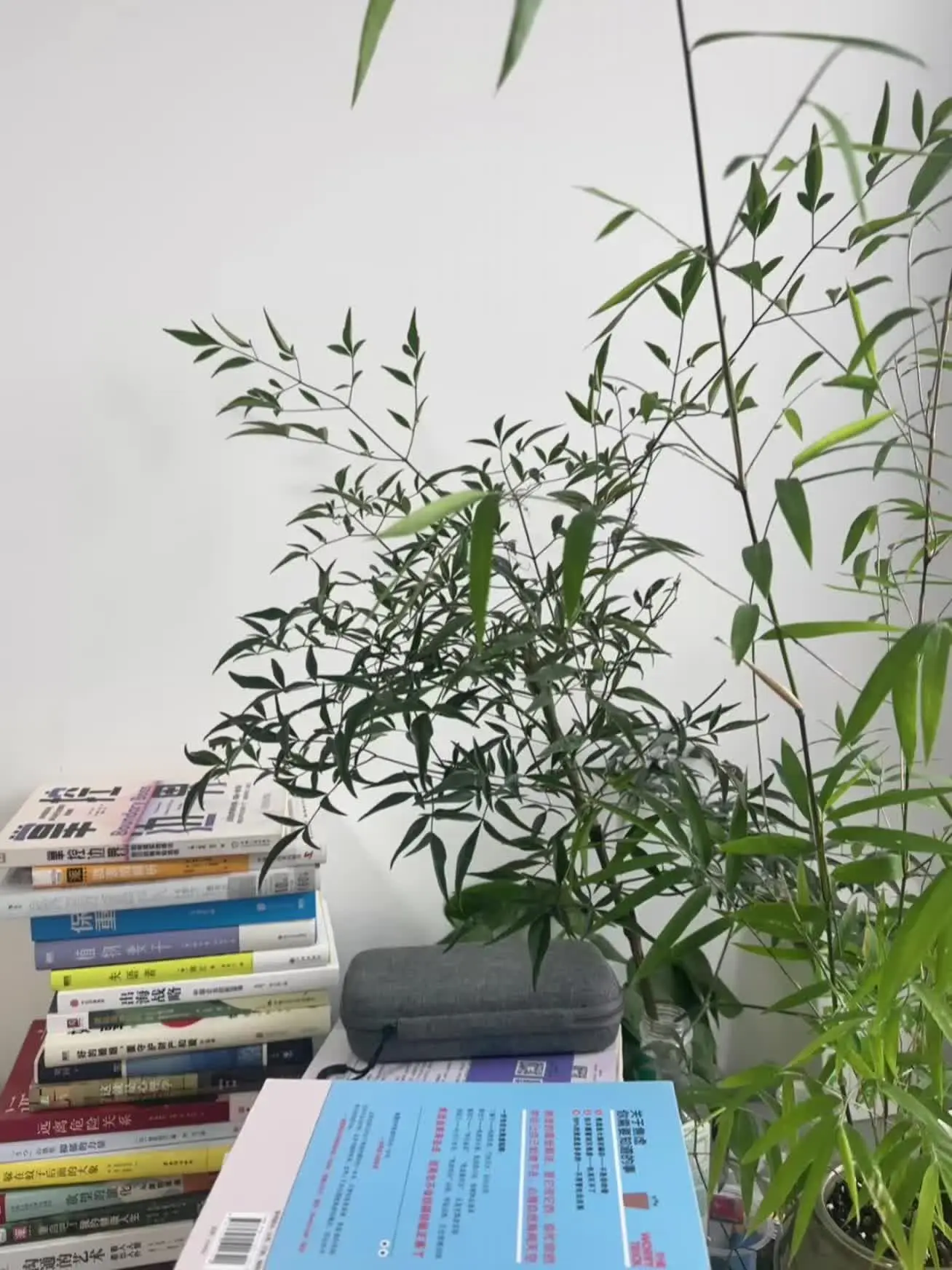 女孩子结婚， 要明白： 1. 你缺钱你就图钱，不缺钱你就图别的，如果无...