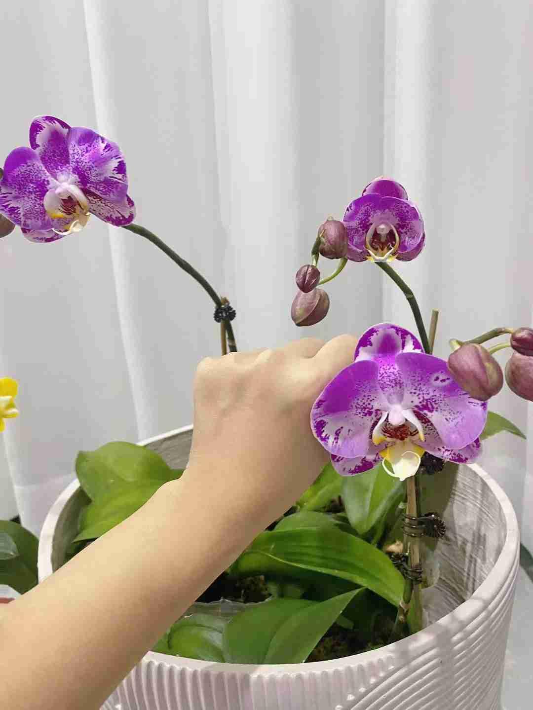 我的今日状态：😁轻松愉快
我这里的天气：☀️晴天