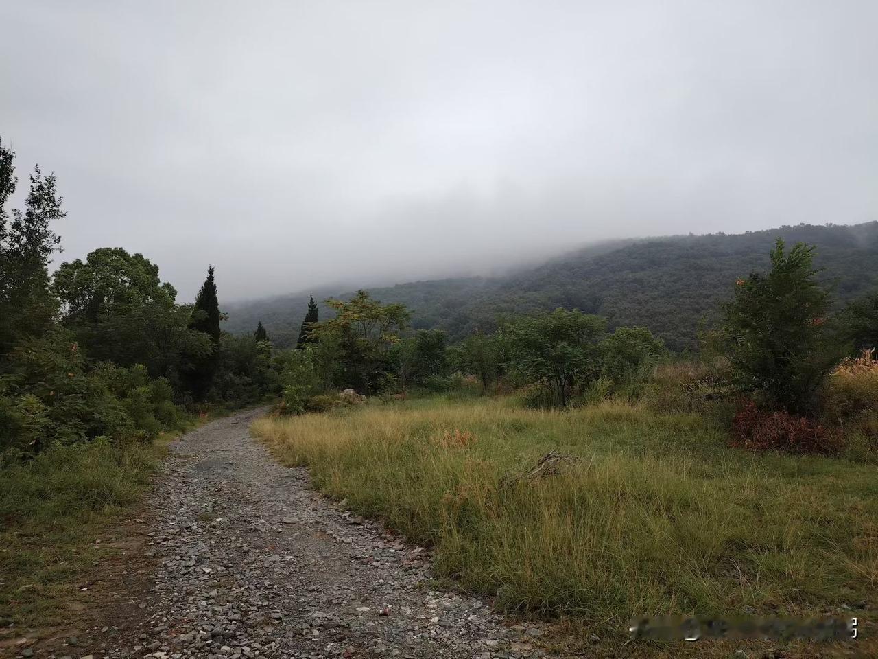 冬日生活打卡季