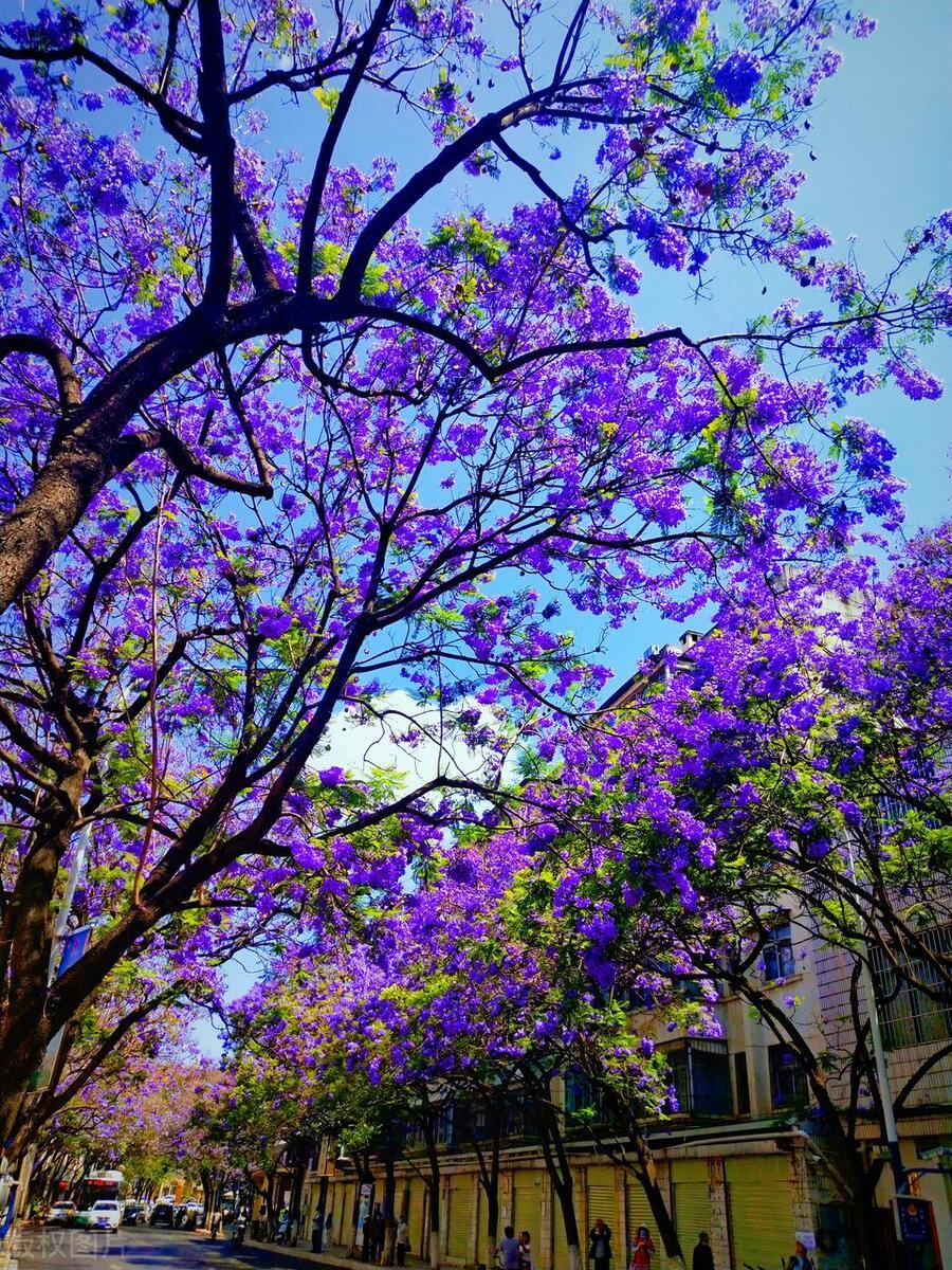 周三盘后突然传来重磅消息，周四依旧可以进行买低卖高操作！
据媒体报道，4月22日