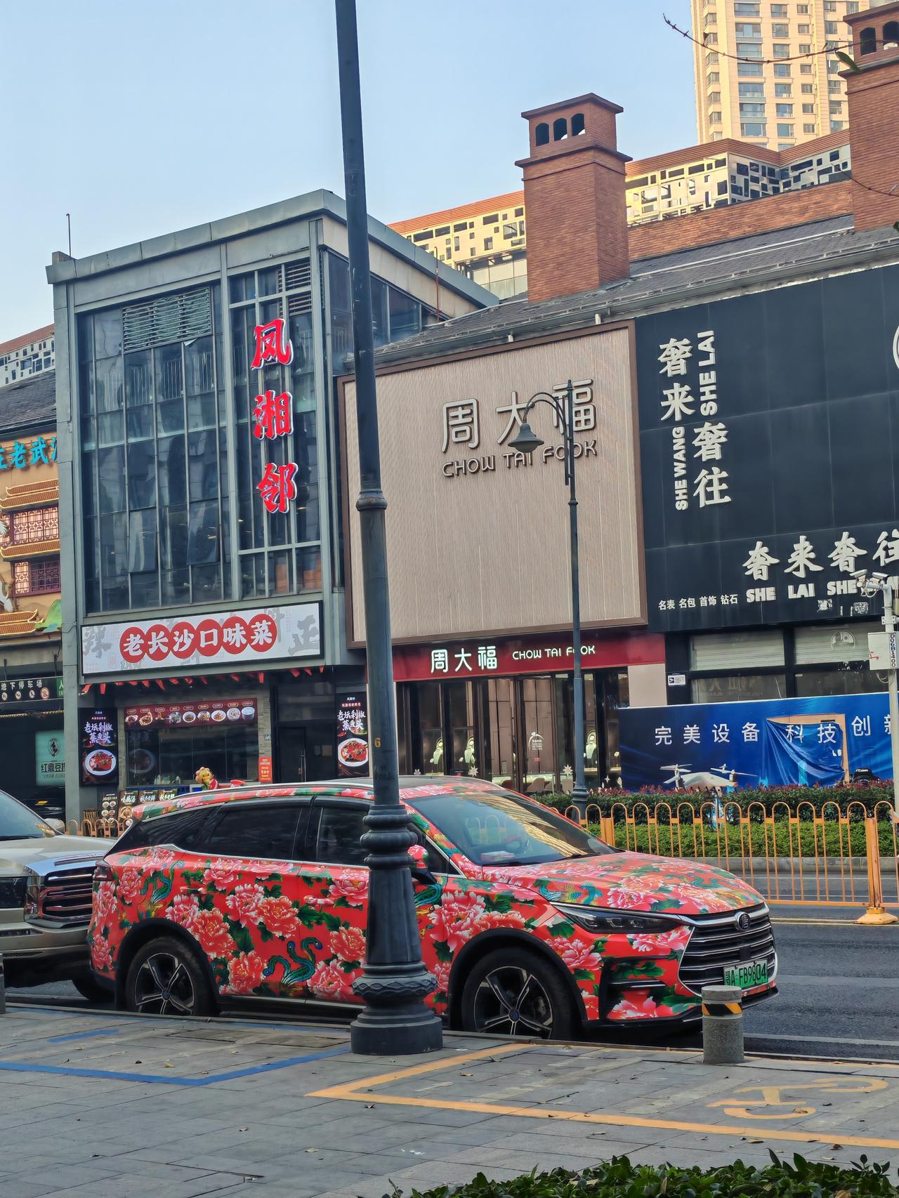 真是活久见，不管是现实生活中还是手机里，我都是第一次见到这样图案的汽车，实在太吸