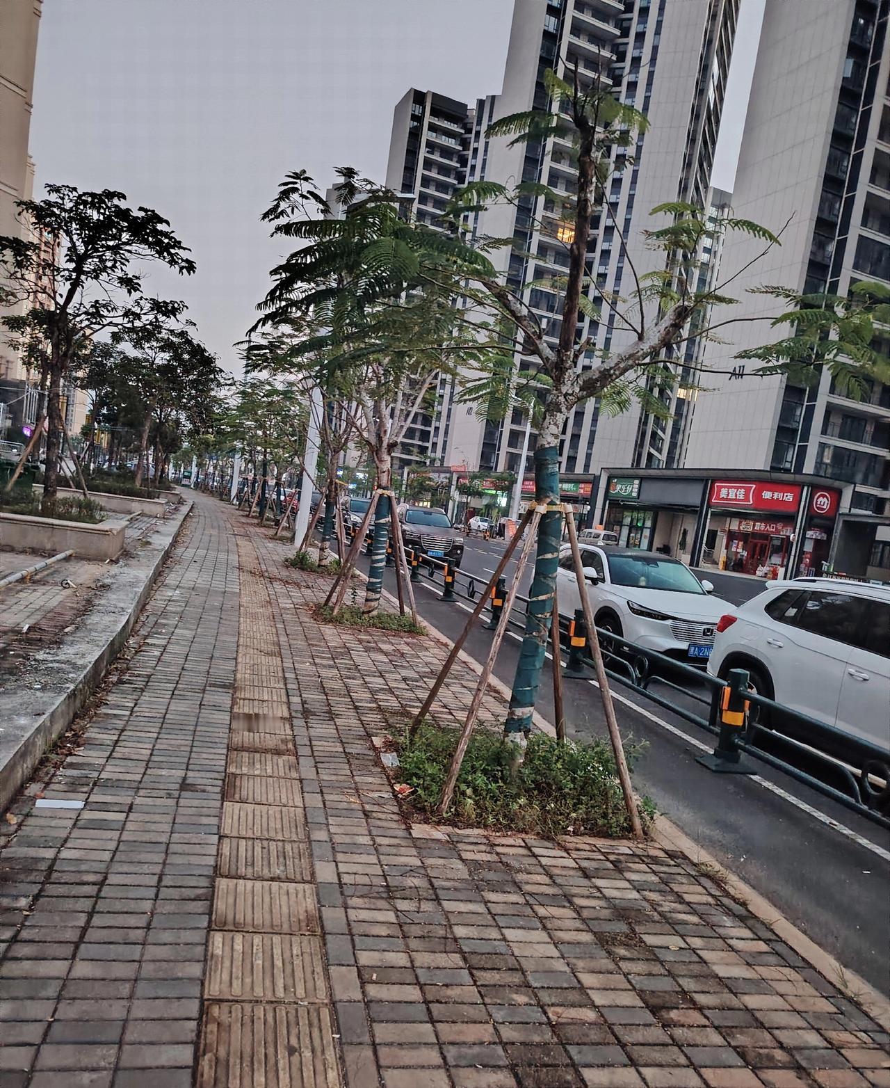 “是否建议取消物业”不能简单判定，需综合考量。

------

支持取消物业的