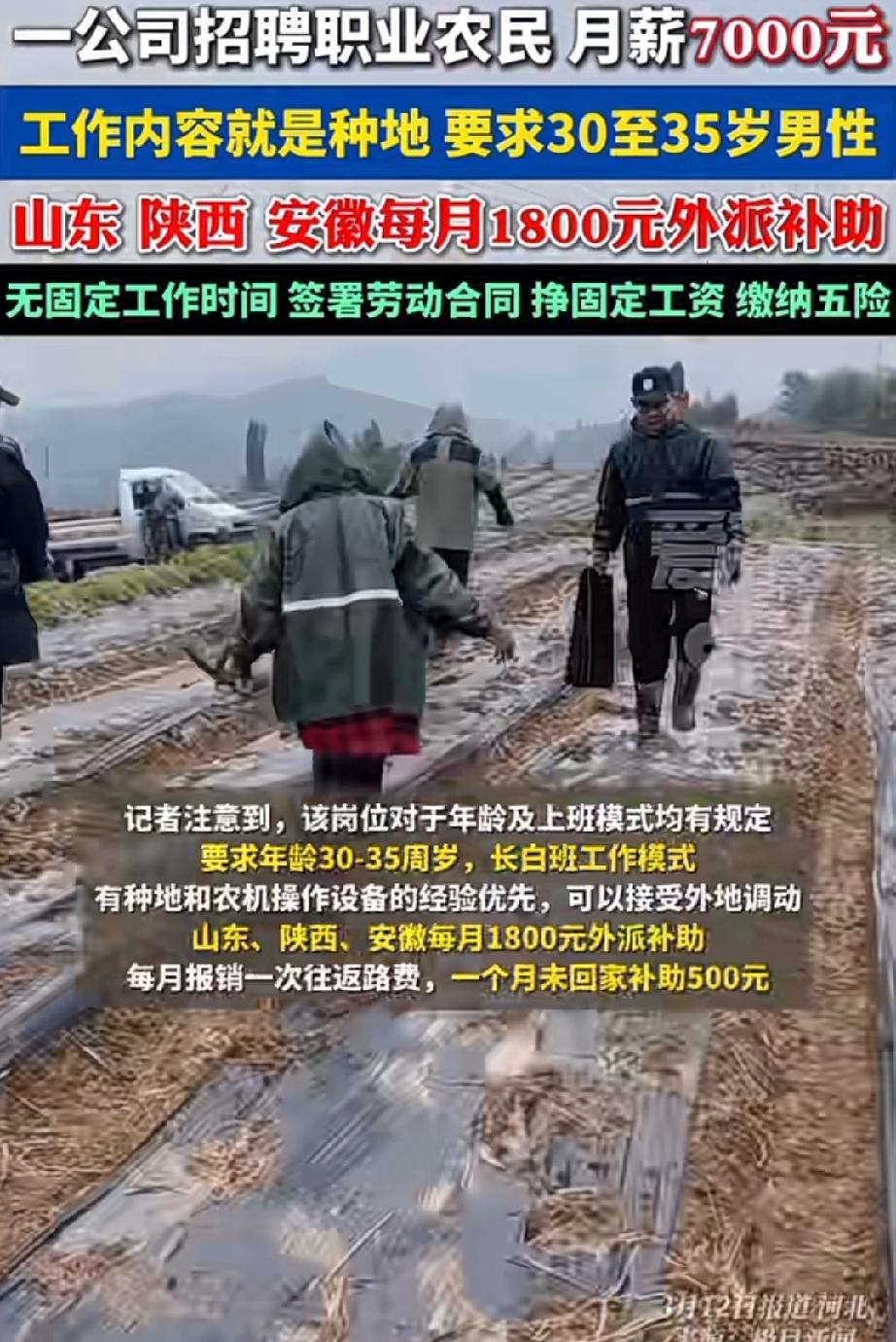 “当农民也卡年龄了，只招30到35岁的大小伙子”，这家公司给出的月薪7000还挺