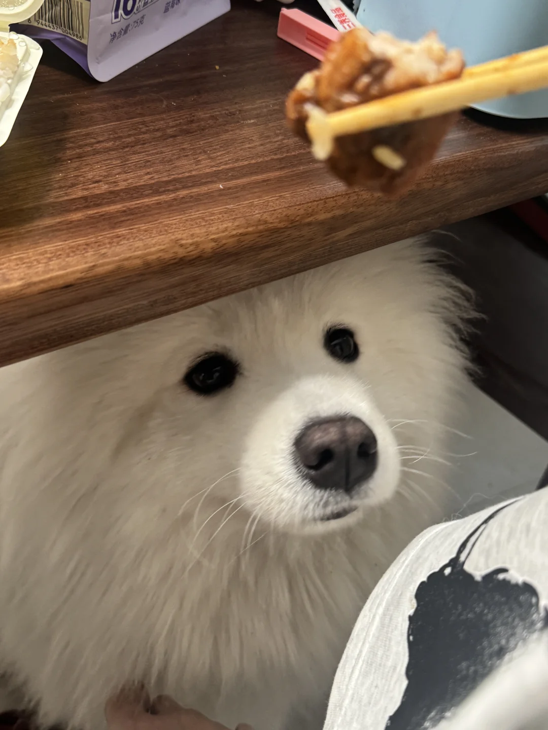 当你吃饭时 桌子下面会长出小狗….