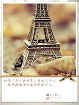 陈枝聚聚科技