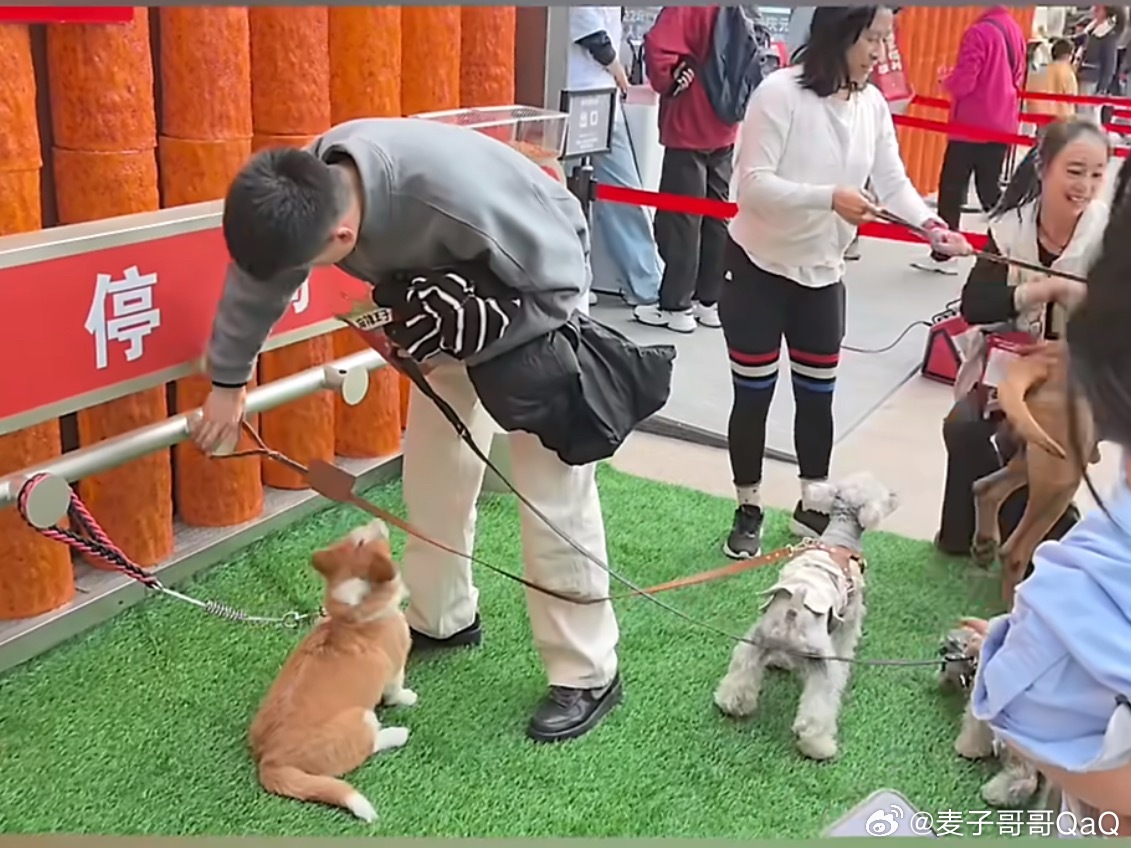 博物馆设立停狗处重庆一博物馆设停狗处还是太先进了博物馆都设立停狗处了，还有狗粮零