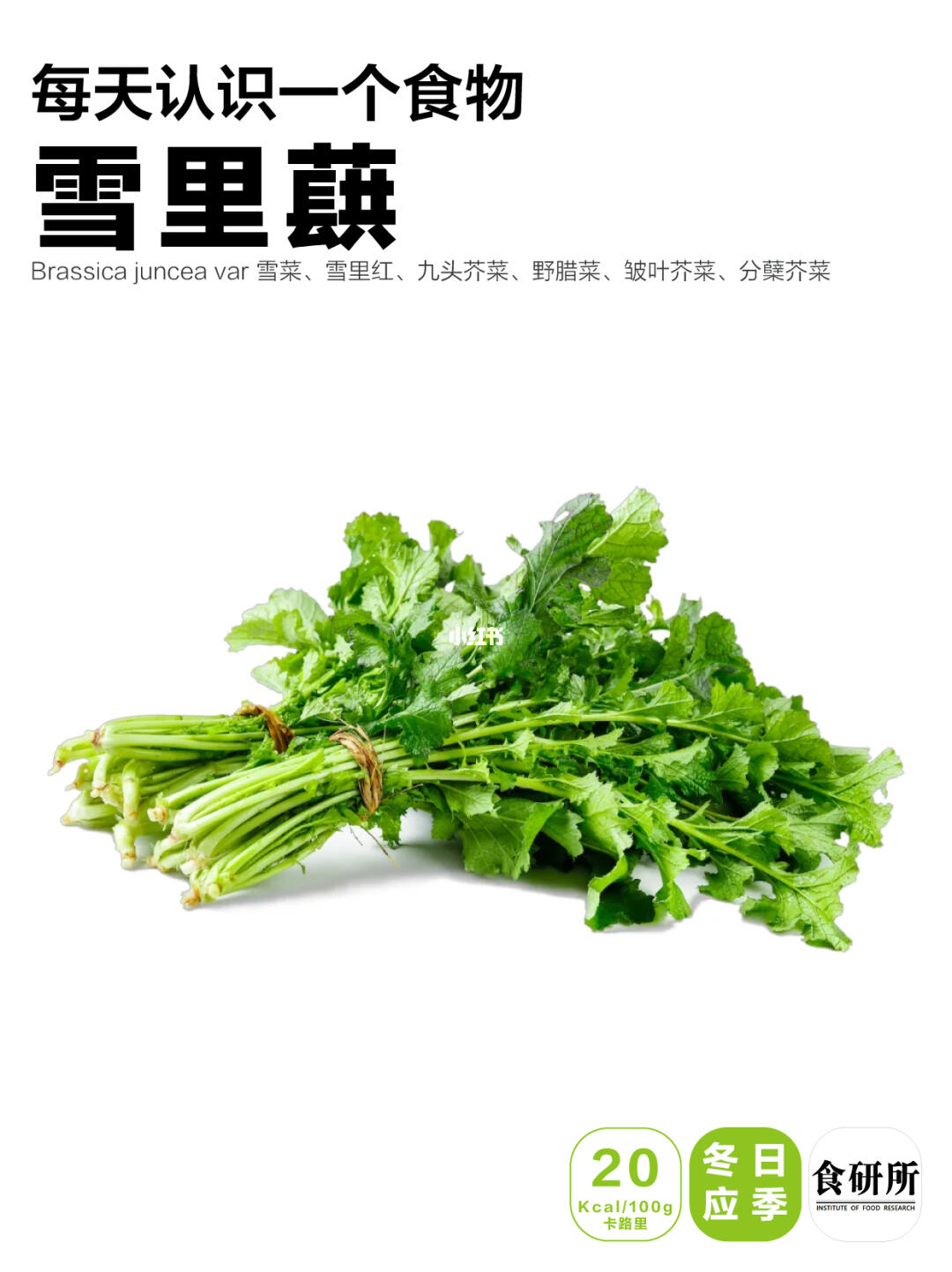 纵然金菜琅蔬好，不及吾乡雪里蕻