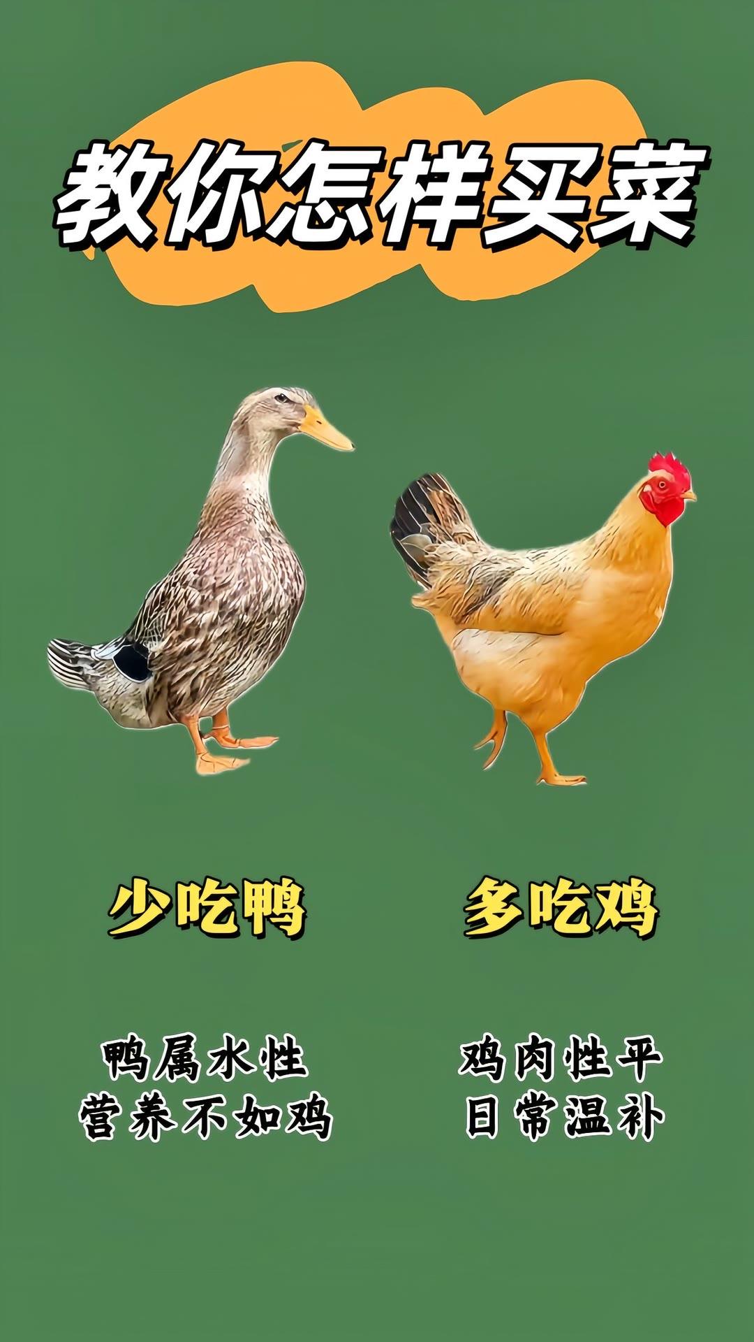 买菜小技巧  生活小常识  买菜 挑选蔬菜买菜技巧 买菜挑选小技巧 买菜技巧指南