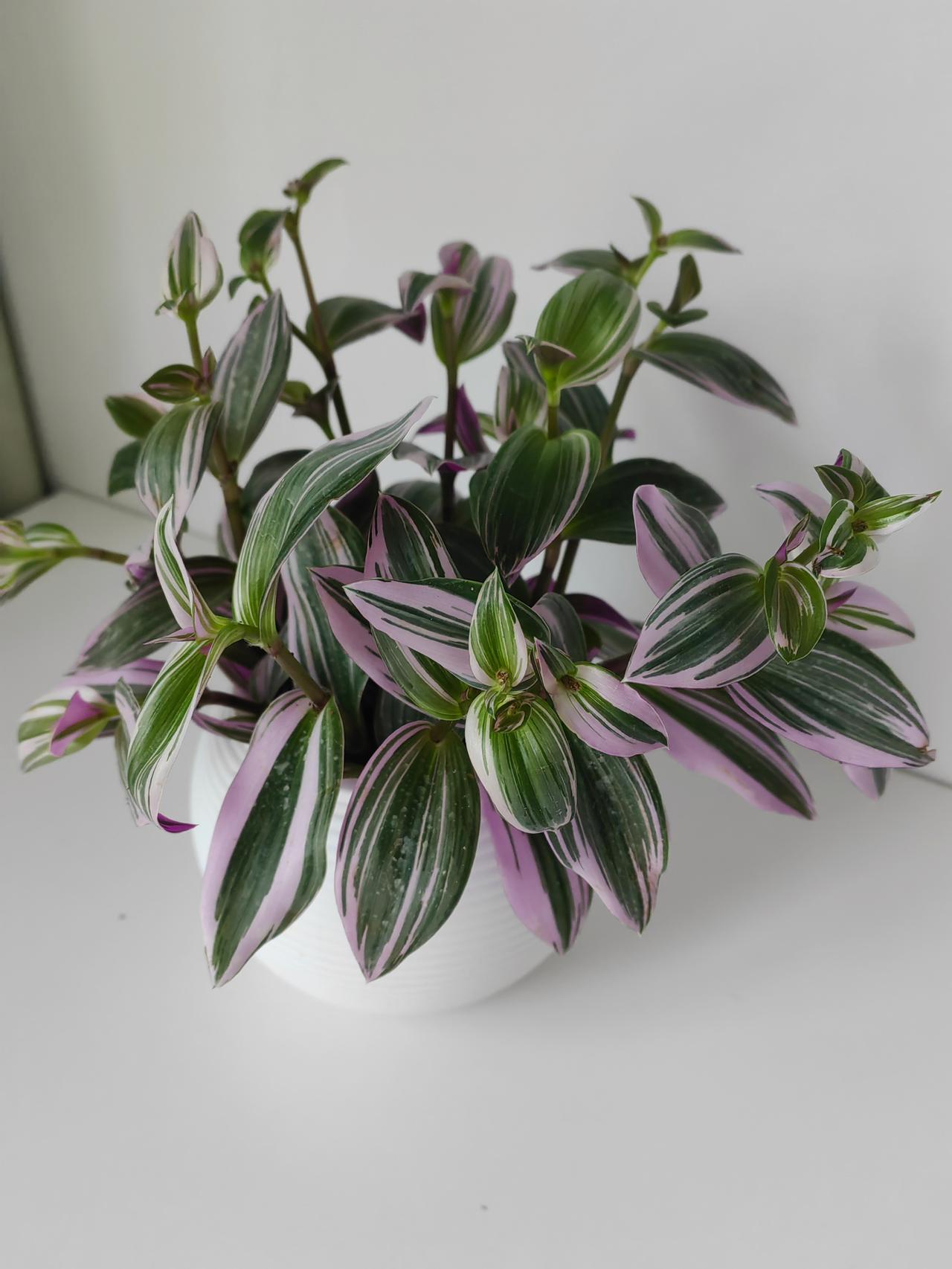 明明可以用15分钟捯饬一下自己，我却蠢兮兮地把那时间拿来收拾屋子。

今天又是我