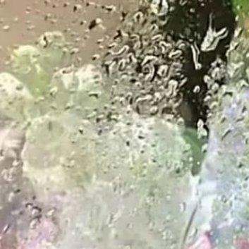 阳光信用每日一善善良如诗，平淡而深刻，每日书写篇章，积累的是人格魅力，升华的是灵