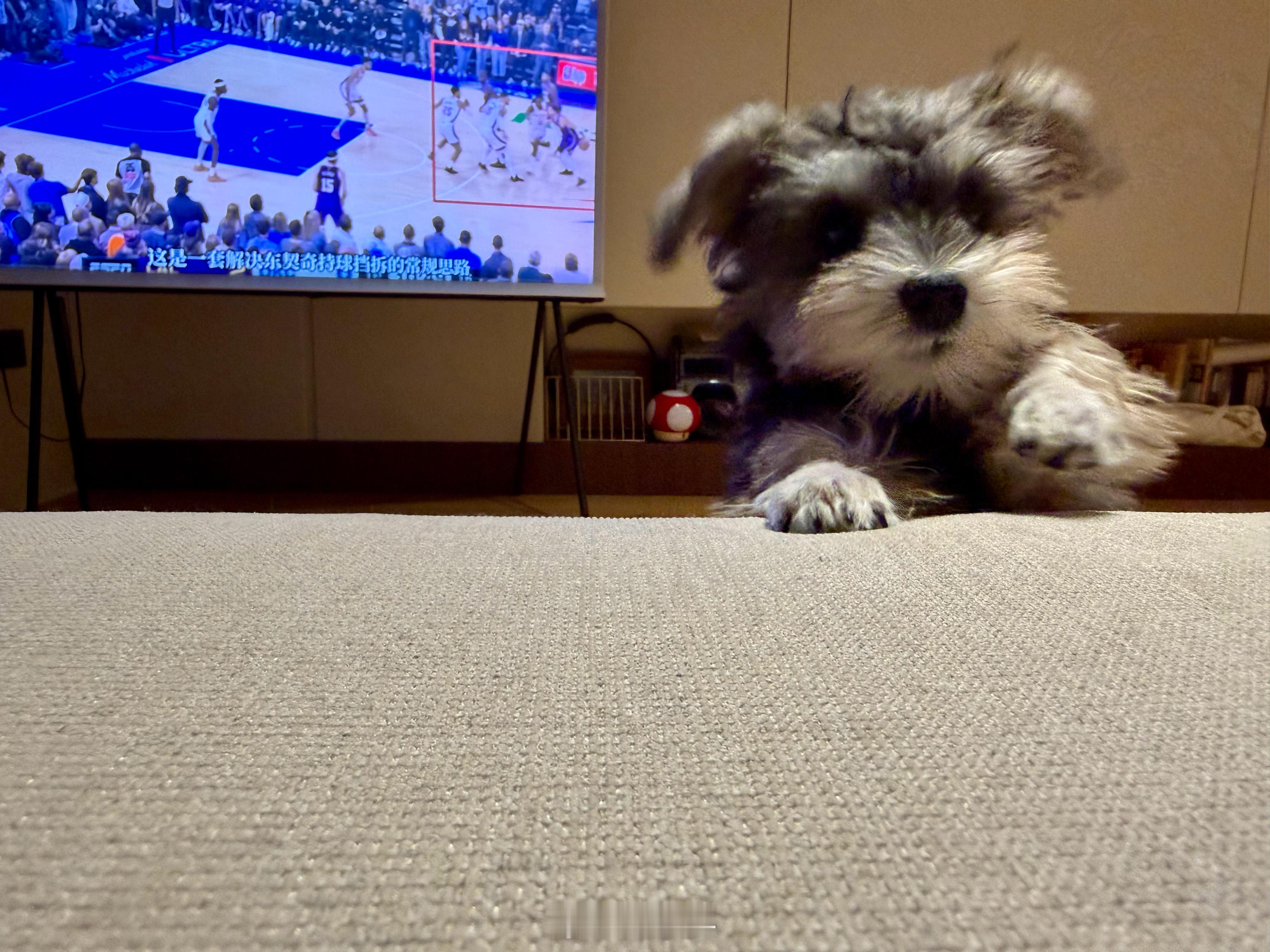 看到你一天天的长大啦