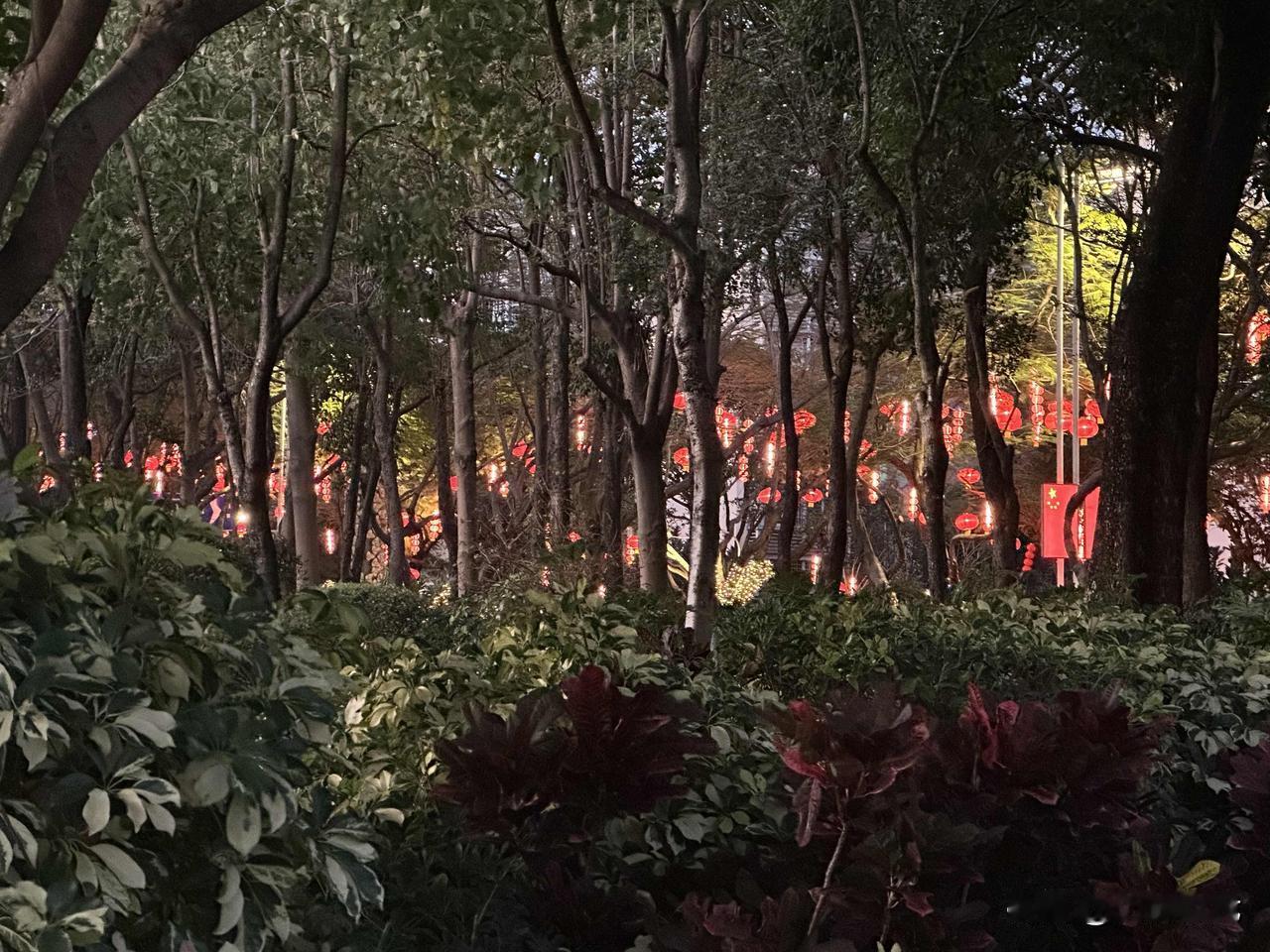 分享一下你随手拍下的照片绿林深处一片红。