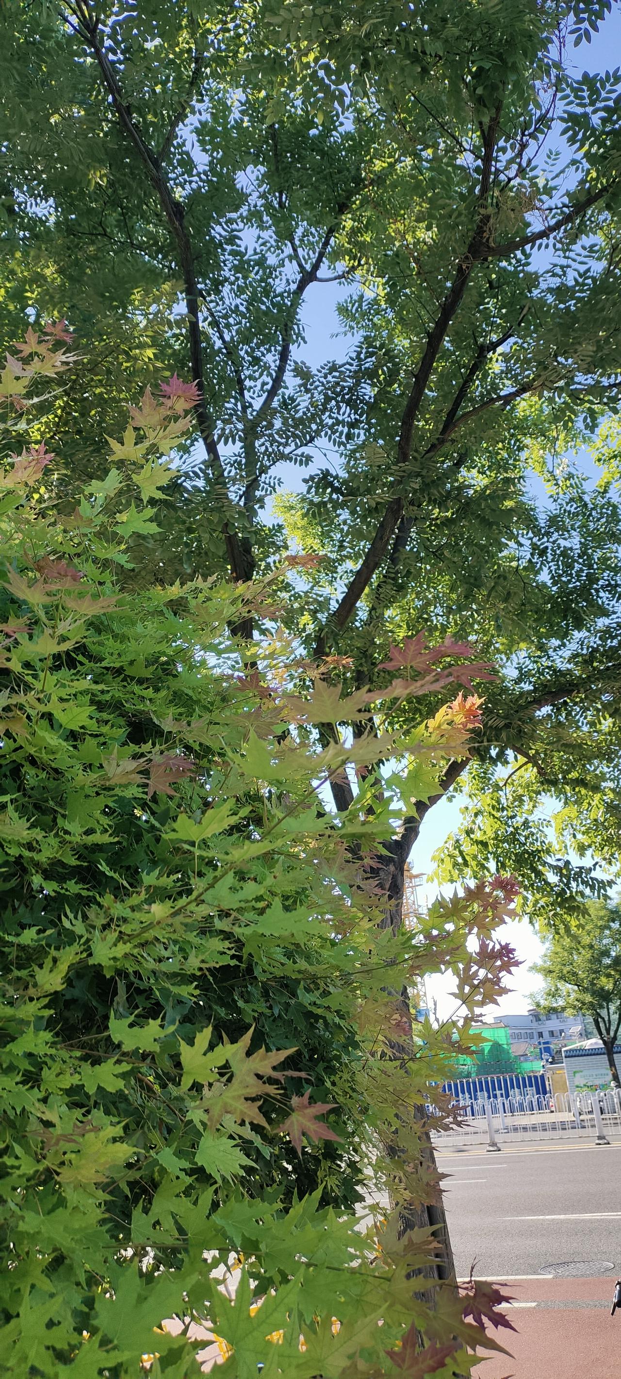 母亲：这一生遇上了贵人


我的印象中我的妈妈的身体不太好，干起农活来很吃力。