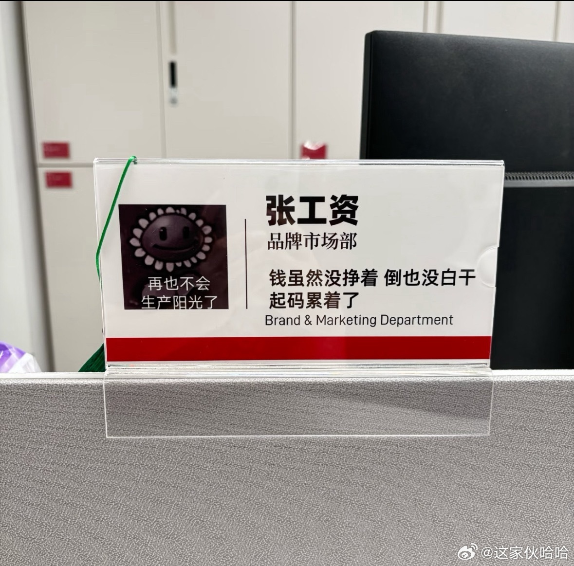 疑似同事们被上班逼疯了 