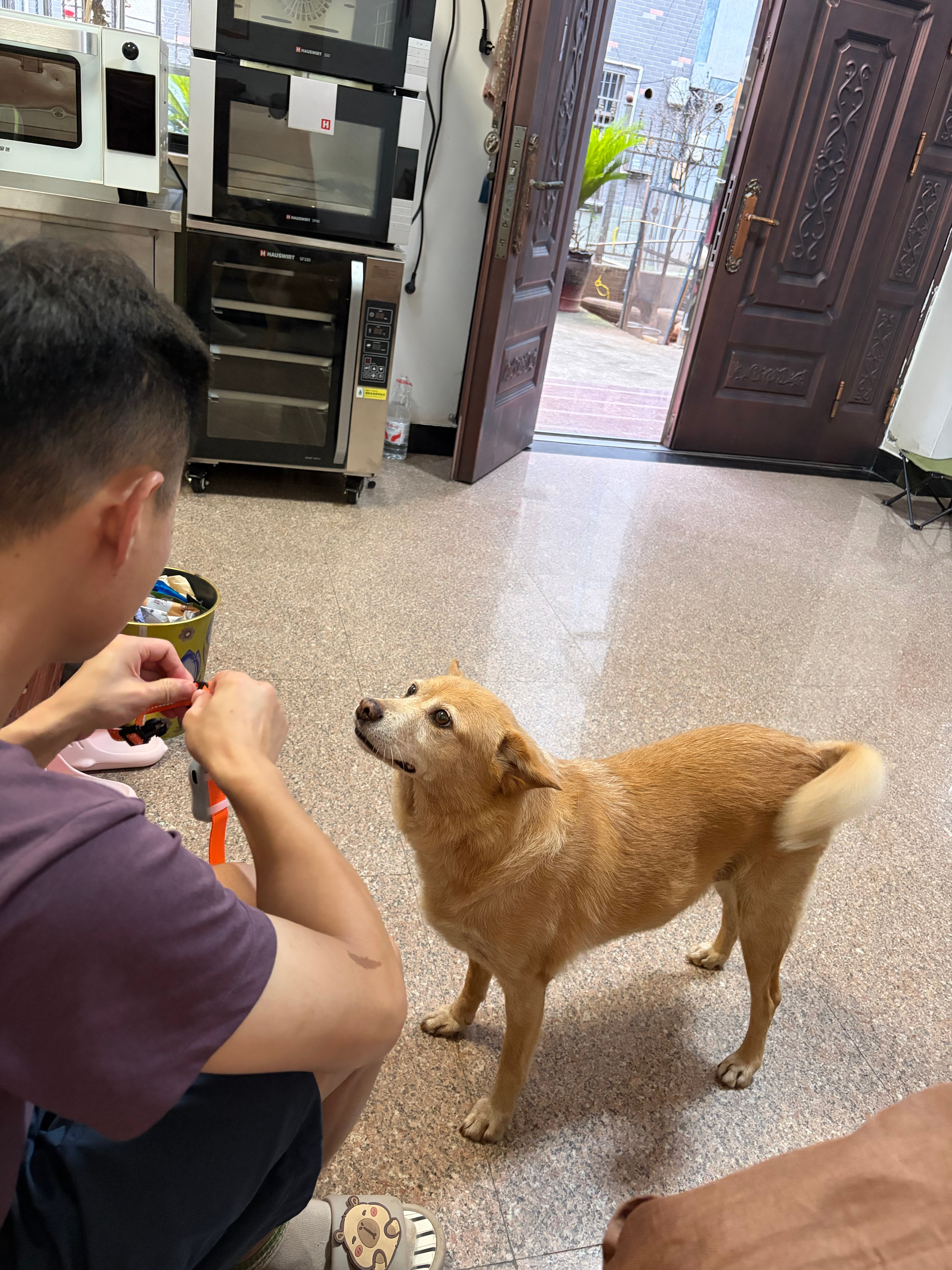 oh 给你装定位器 看你往哪里跑你装上特别开心🥳 