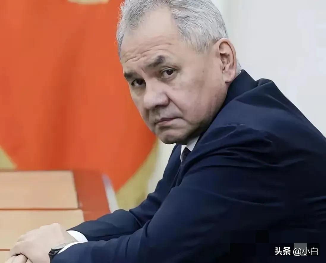 俄前防长绍伊古称，随着乌克兰无人机技术的发展，俄罗斯的任何地方都无法感到安全。他