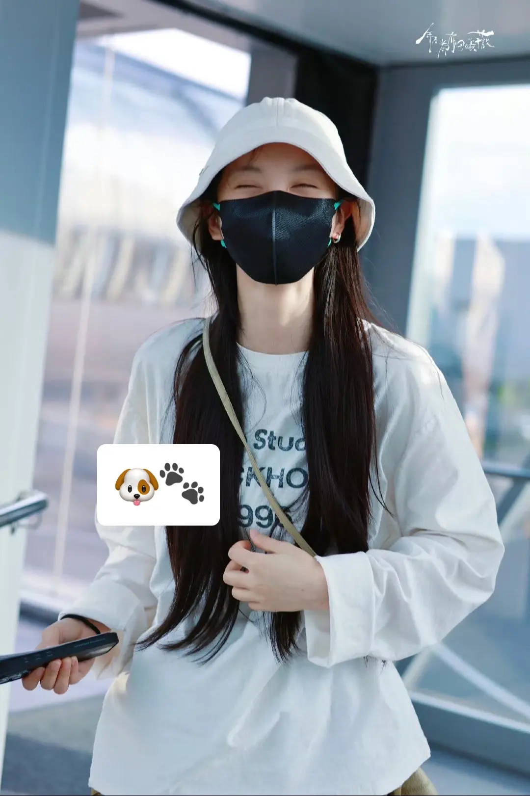 狗狗！