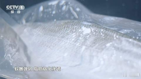 高白鲑几十种鲜法等你翻牌这种鱼肉和豆腐一样嫩滑 试过好多鱼的做法，高白鲑这种低温