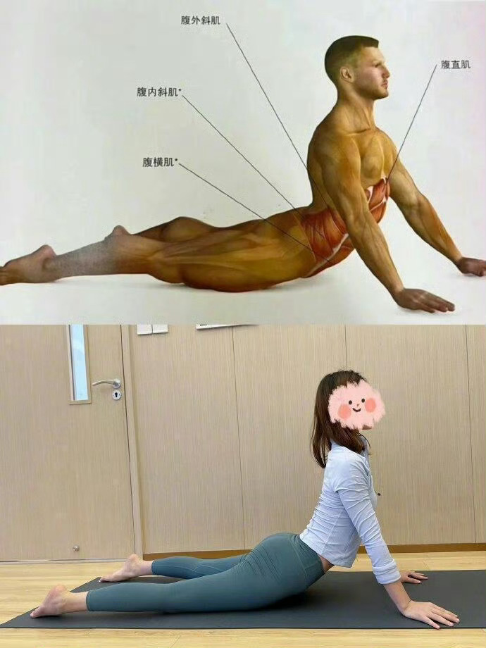 据说这一套动作叫最伟大的拉伸…… 