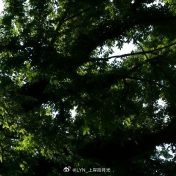 每日一善[超话]🌻阳光信用🌻每日一善【☀️-较好互动指路hui-🍊】周六愉