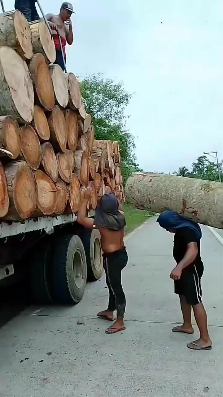 这是纯人工往上装，这个木头这么粗，底下那人你说那得多有劲，硬给扛起来了。上面搁这