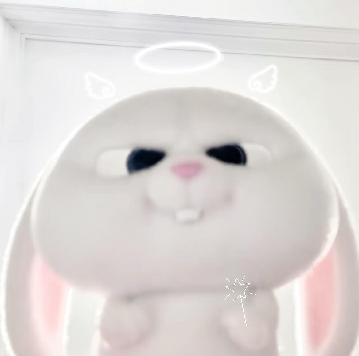 好想输个妈妈和牛来的口令 但是你们好多都没次数了 包括我