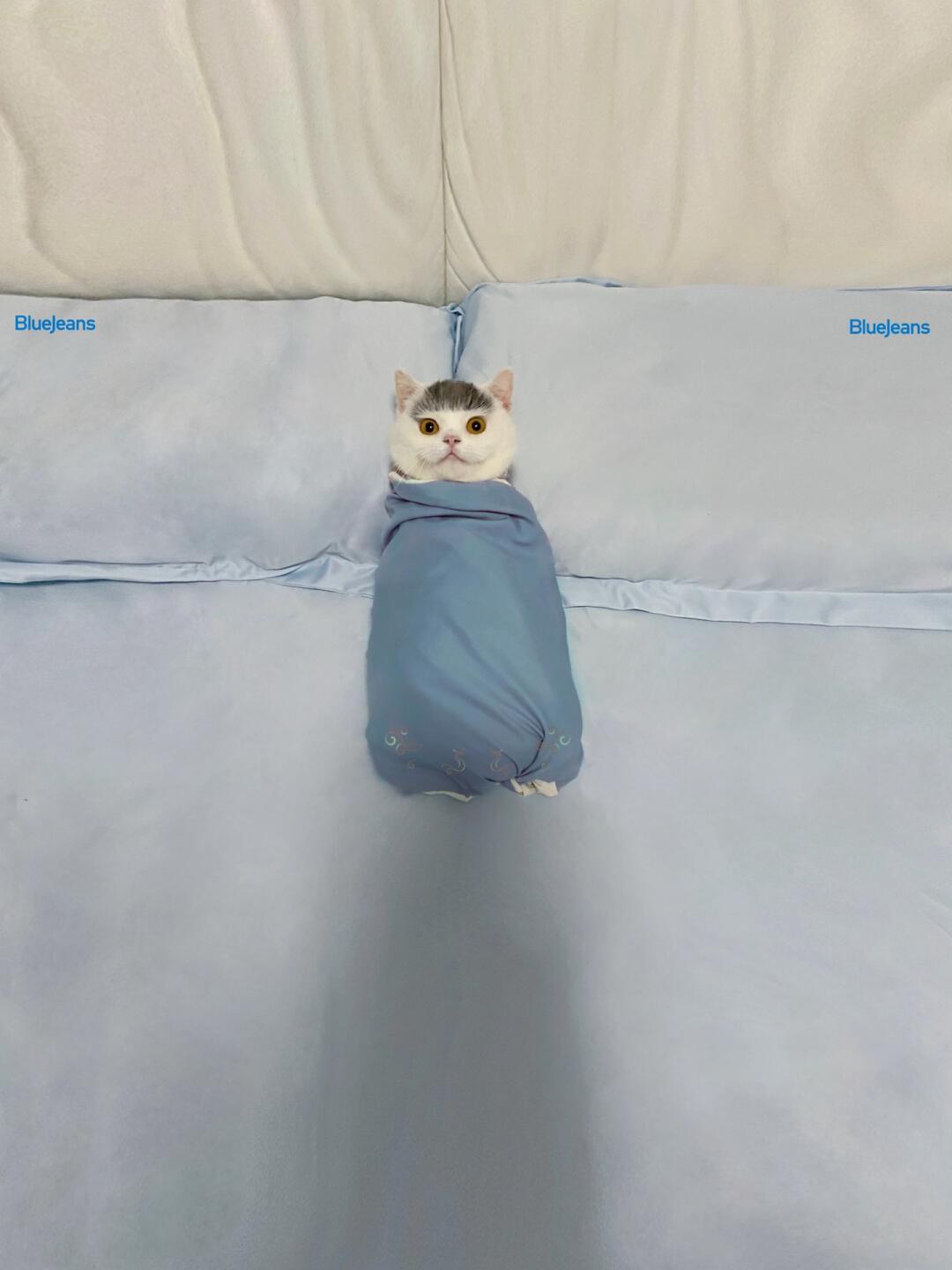 初次侍寝难免有点紧张 