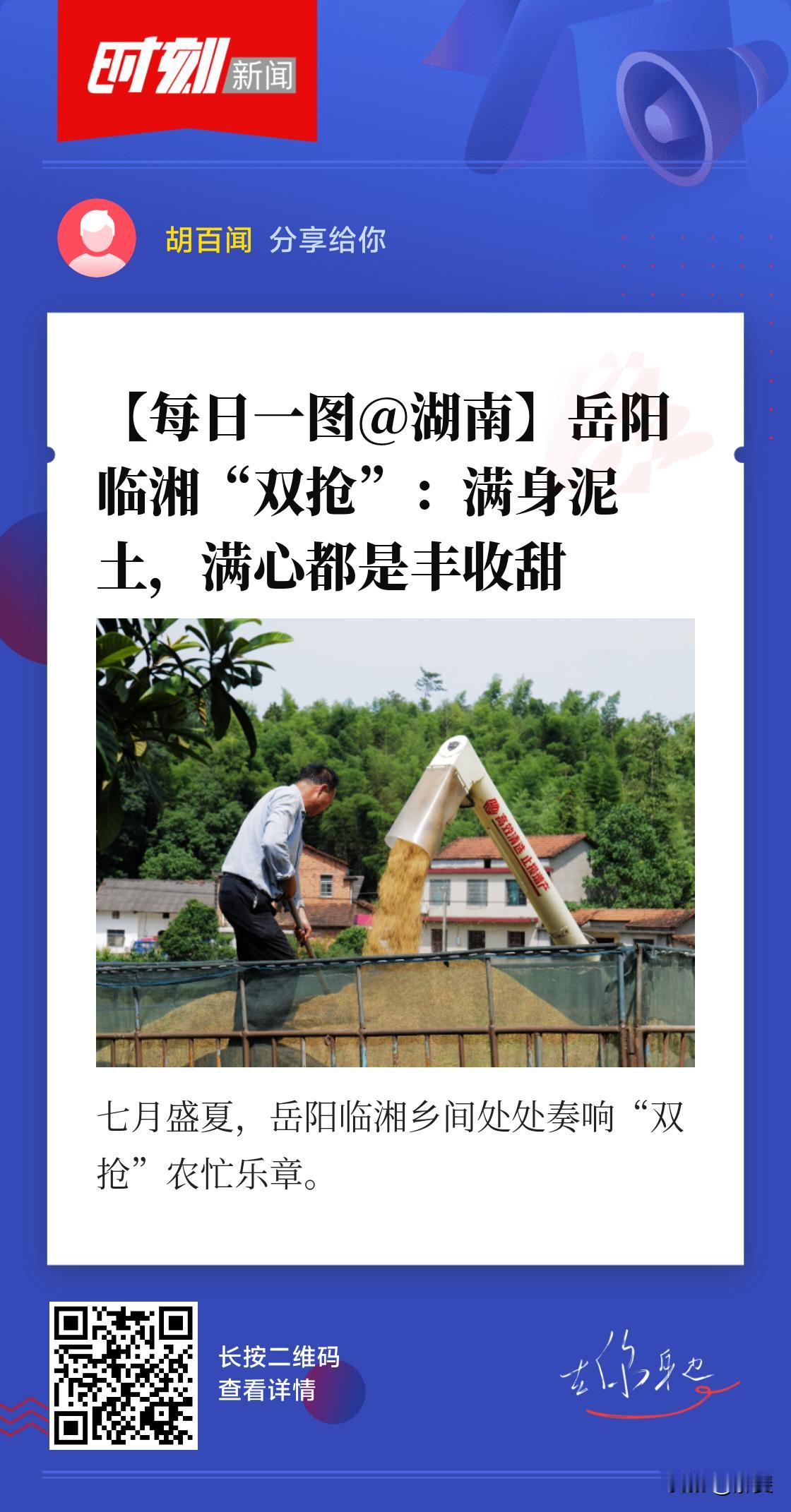 七月盛夏，湖南省岳阳市临湘市的乡间处处奏响“双抢”农忙乐章。金黄稻浪铺满田野，收