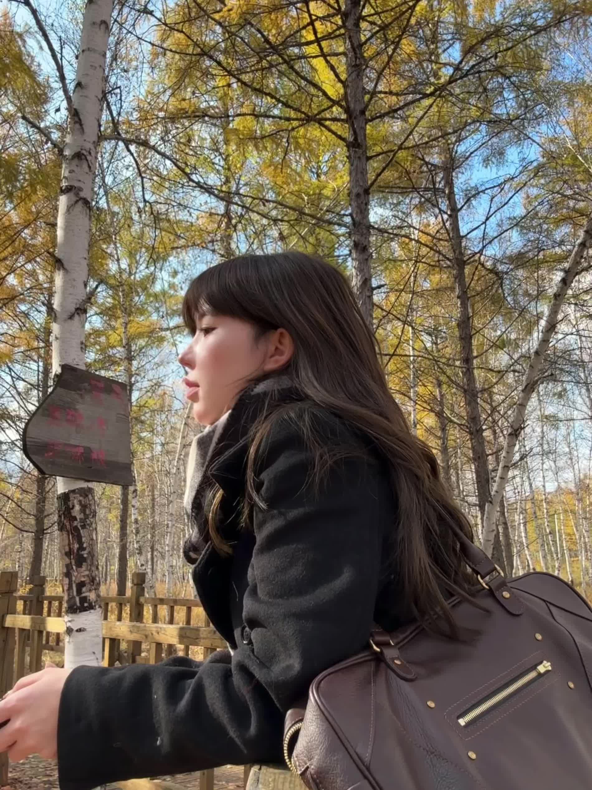 在内蒙古见到人生最美的秋天🍂