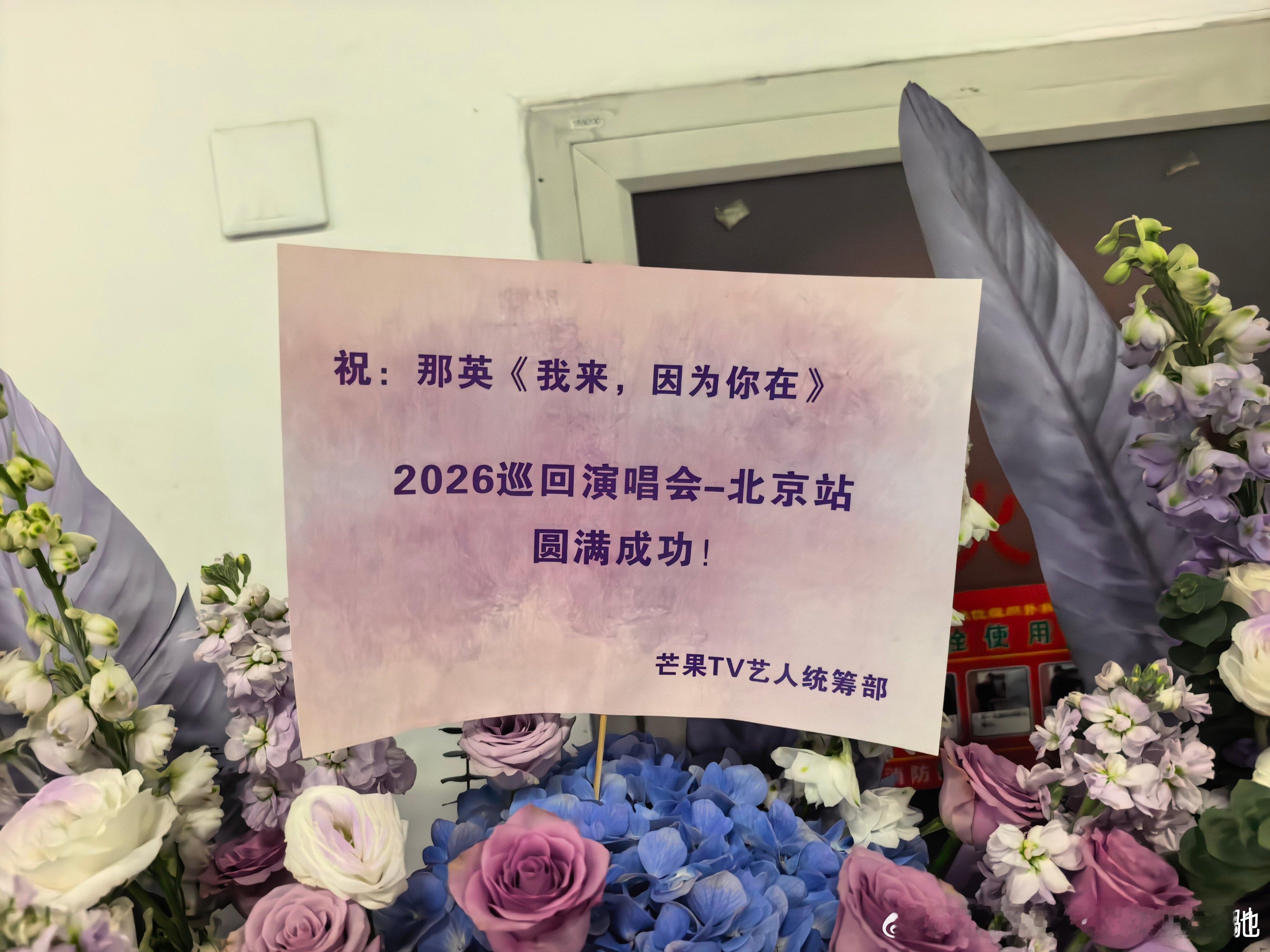 王菲、毛阿敏、李超、张丹阳、王志钊等为那英演唱会送祝福。 