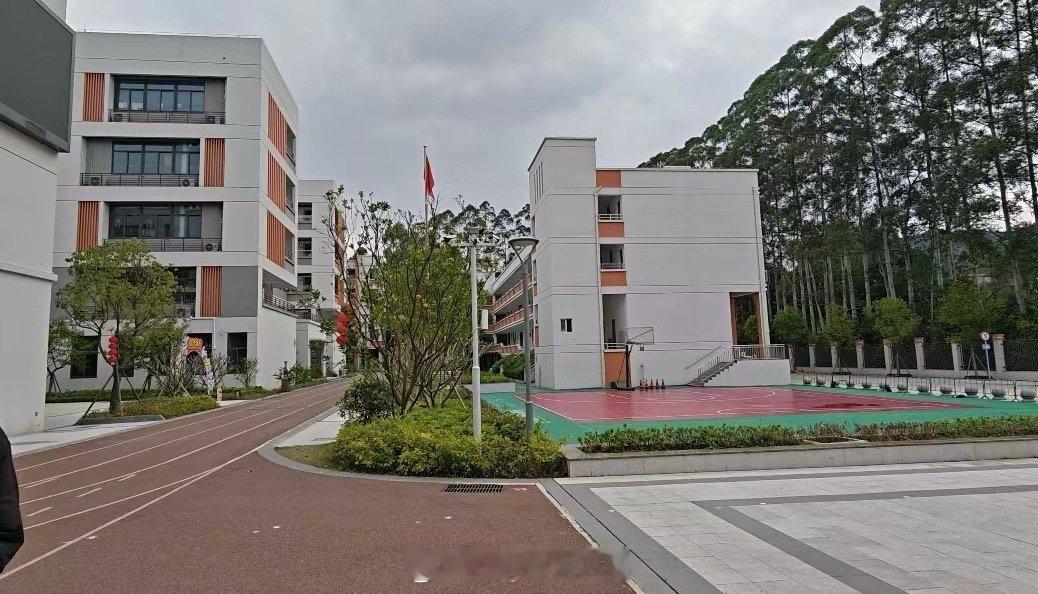 这周末完成了作为MONA车主很有意义的事！昨天去漳州批发了30来盆花卉（MONA