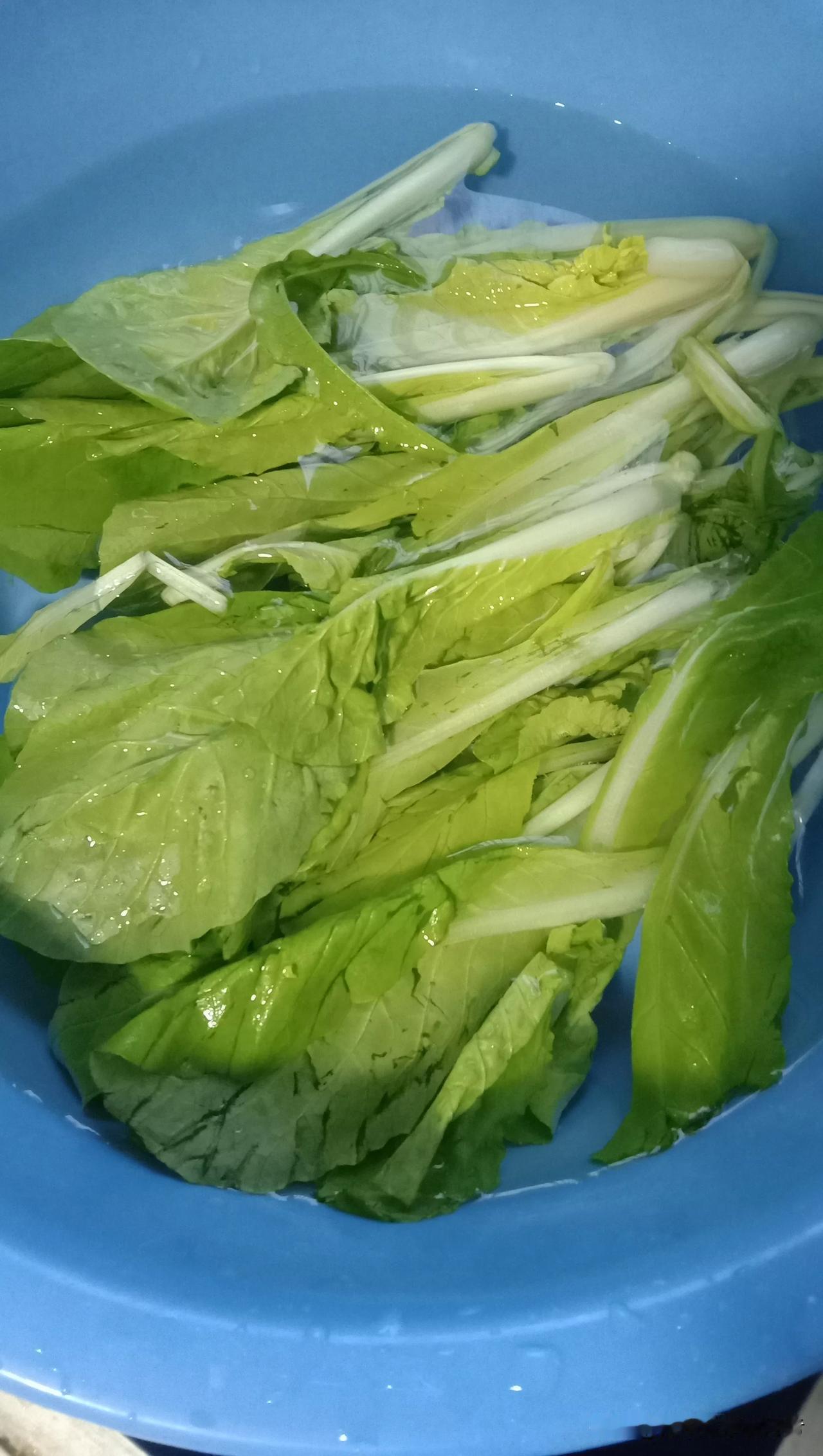 【老婆孩子回老家了，邓老师只能自己做饭吃】
​
​1.10.1邓老师去荆北给学生