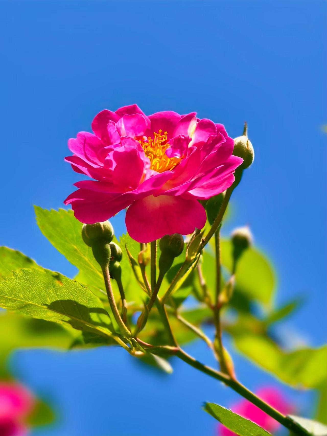 分享今日的感悟男人在晚上睡不着觉，主要原因有两点：想钱，想女人。