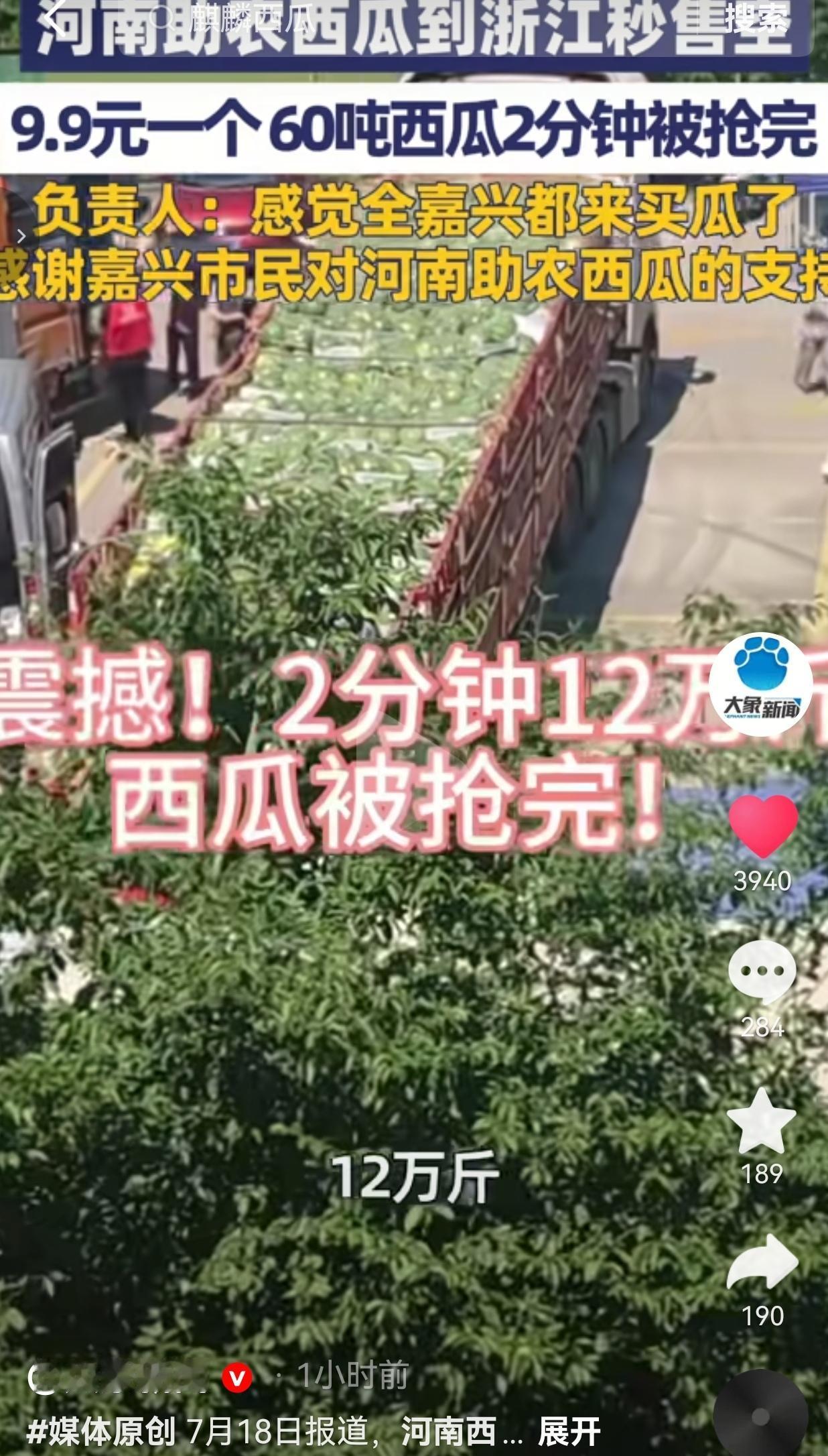 今年河南本地麒麟西瓜迎来丰收，大量瓜农的果子集中成熟，大批量西瓜急需打开销路。