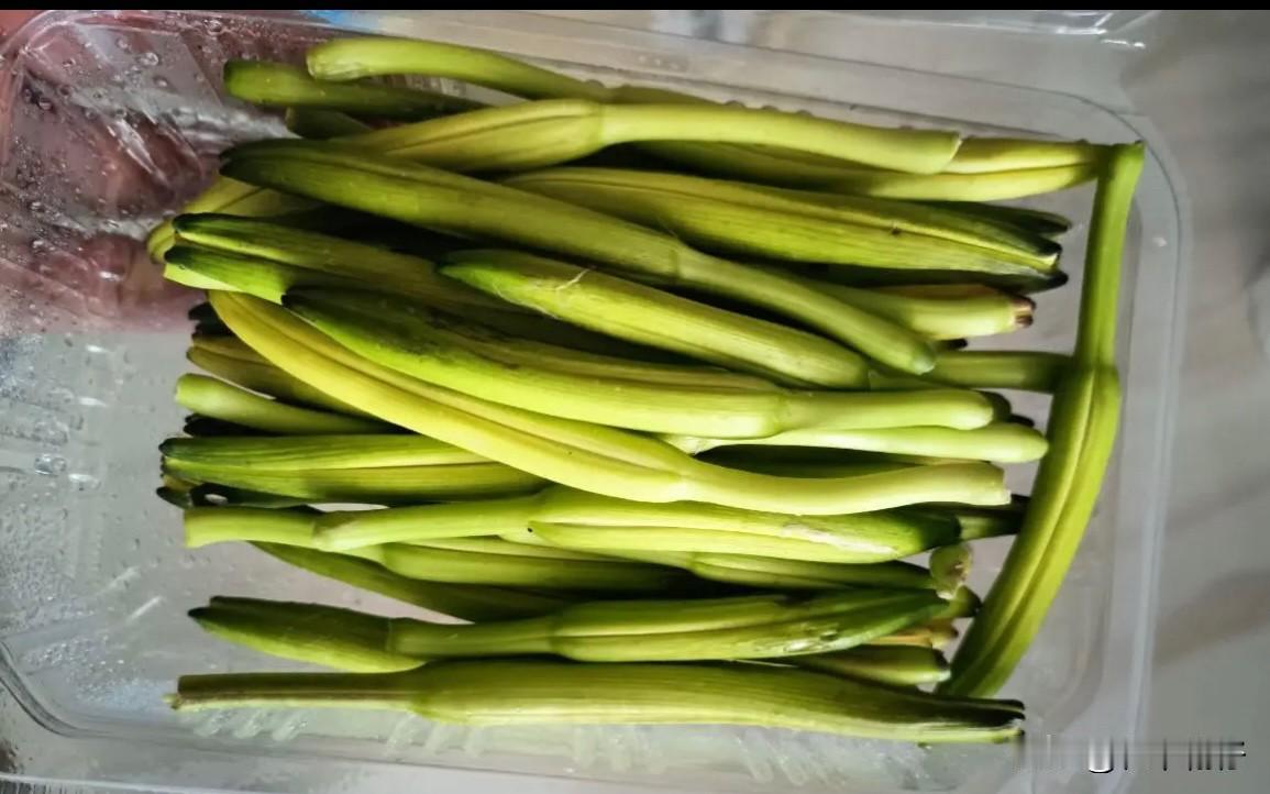 菜市场看到有新鲜黄花菜，买回来，凭着以往做菜的感觉直接配肉片就下了锅。

眼看菜