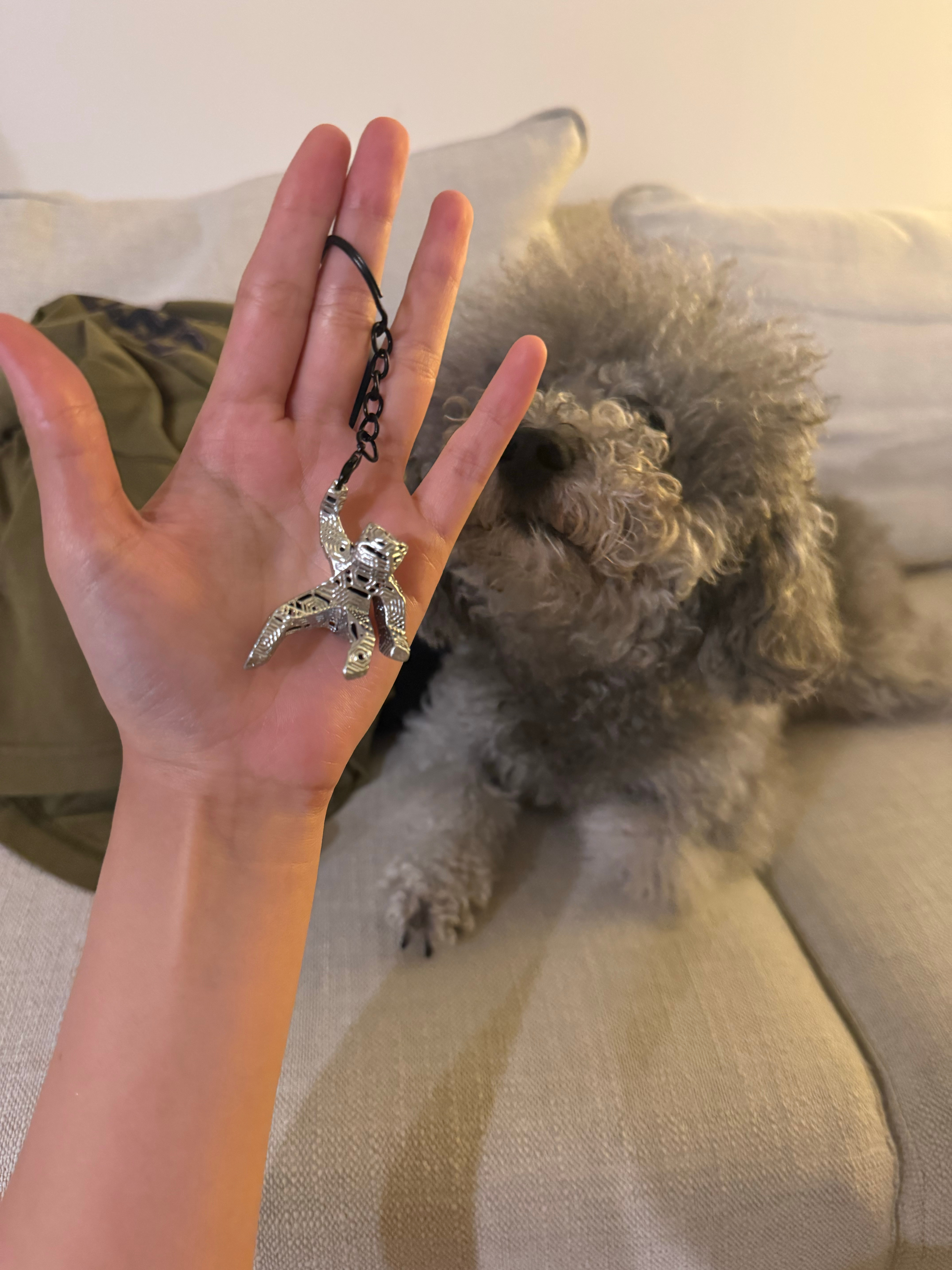 Happy happy happy！Amaze Amaze Amaze！ 