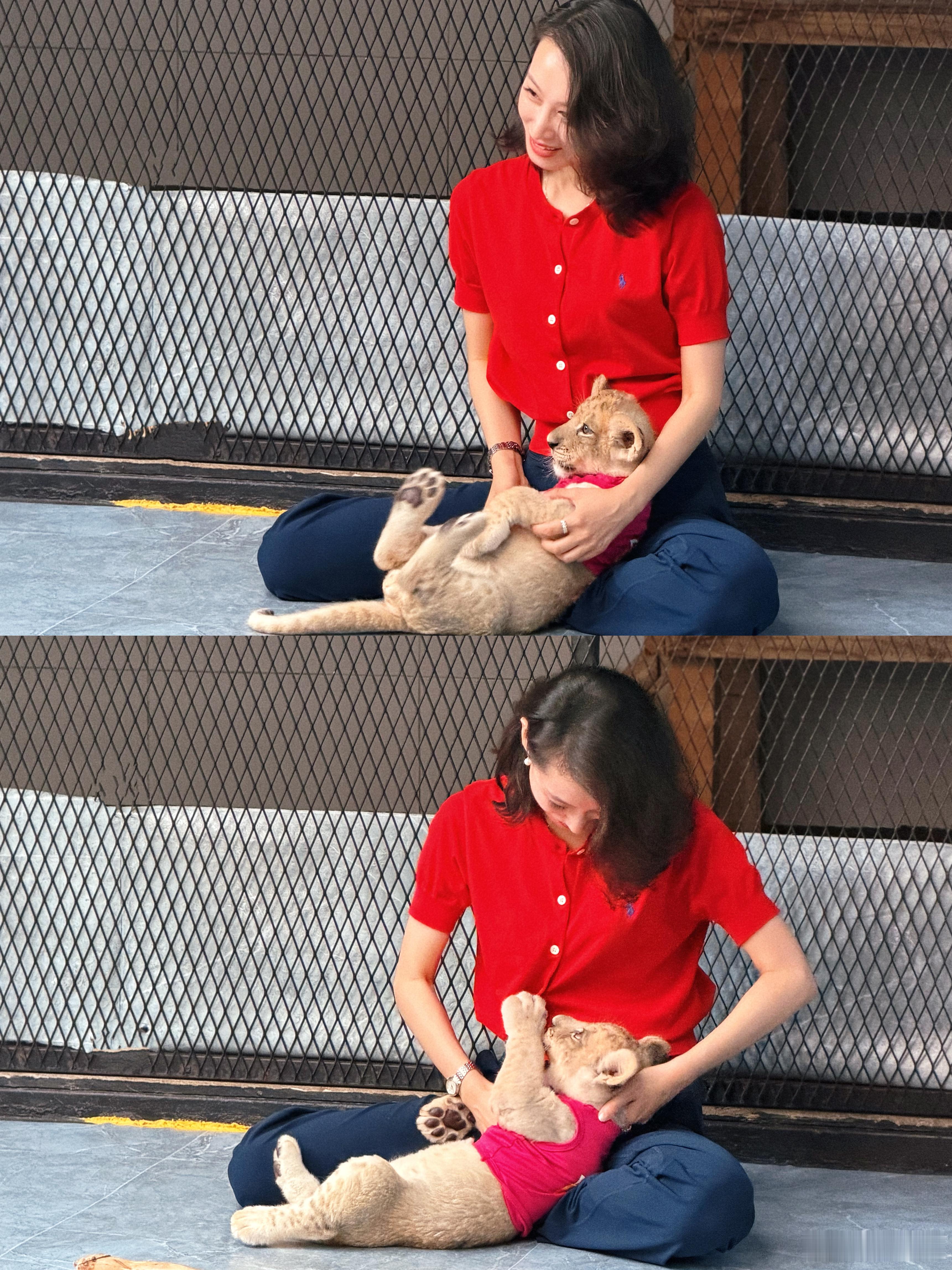 猫🐱 🦁🐵 泰国