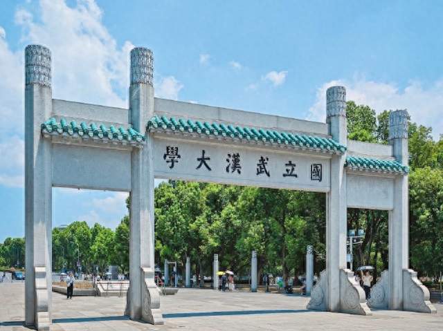 ‌武大通报86页PDF举报，逼俩孩子站出来的，不止是隐身的父亲？