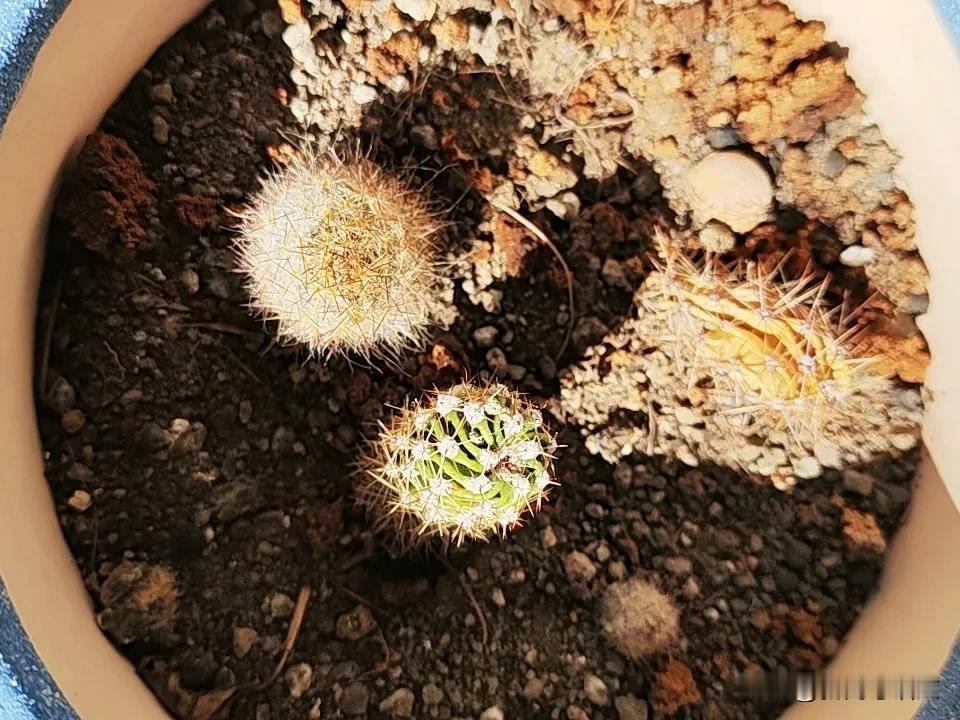 物质文明的发展太过于快了，将会使得精神文明相对滞后。所以我们暴露出了一些改革开放