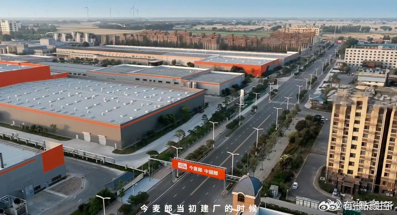 在河北老总也要回家收麦子何为最好的乡土振兴？今麦郎在河北隆尧给出了满分答案！企业