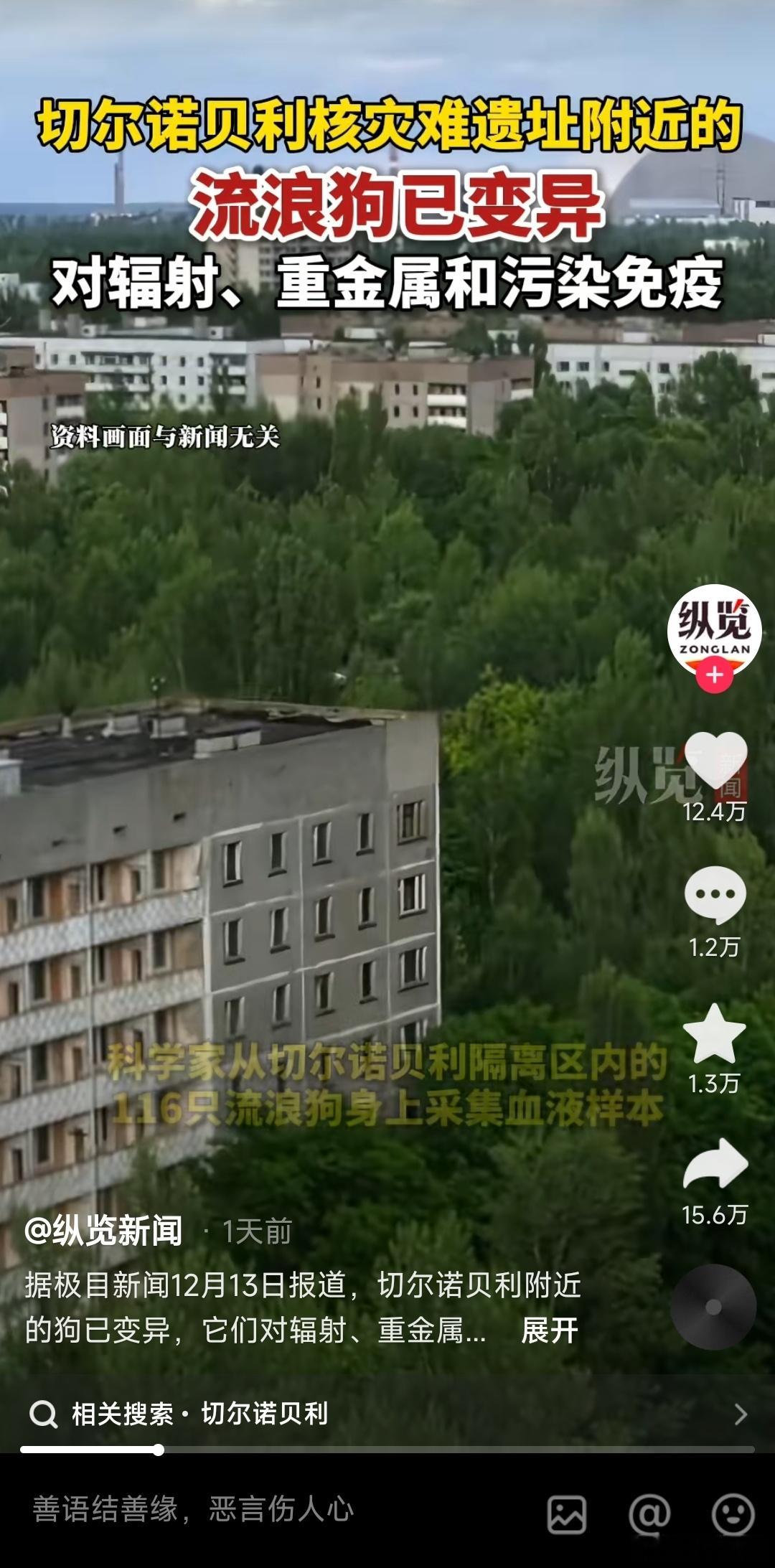 切尔诺贝利周边的狗已变异 ，展现出对辐射、重金属和污染的免疫力？听听知乎大V怎么