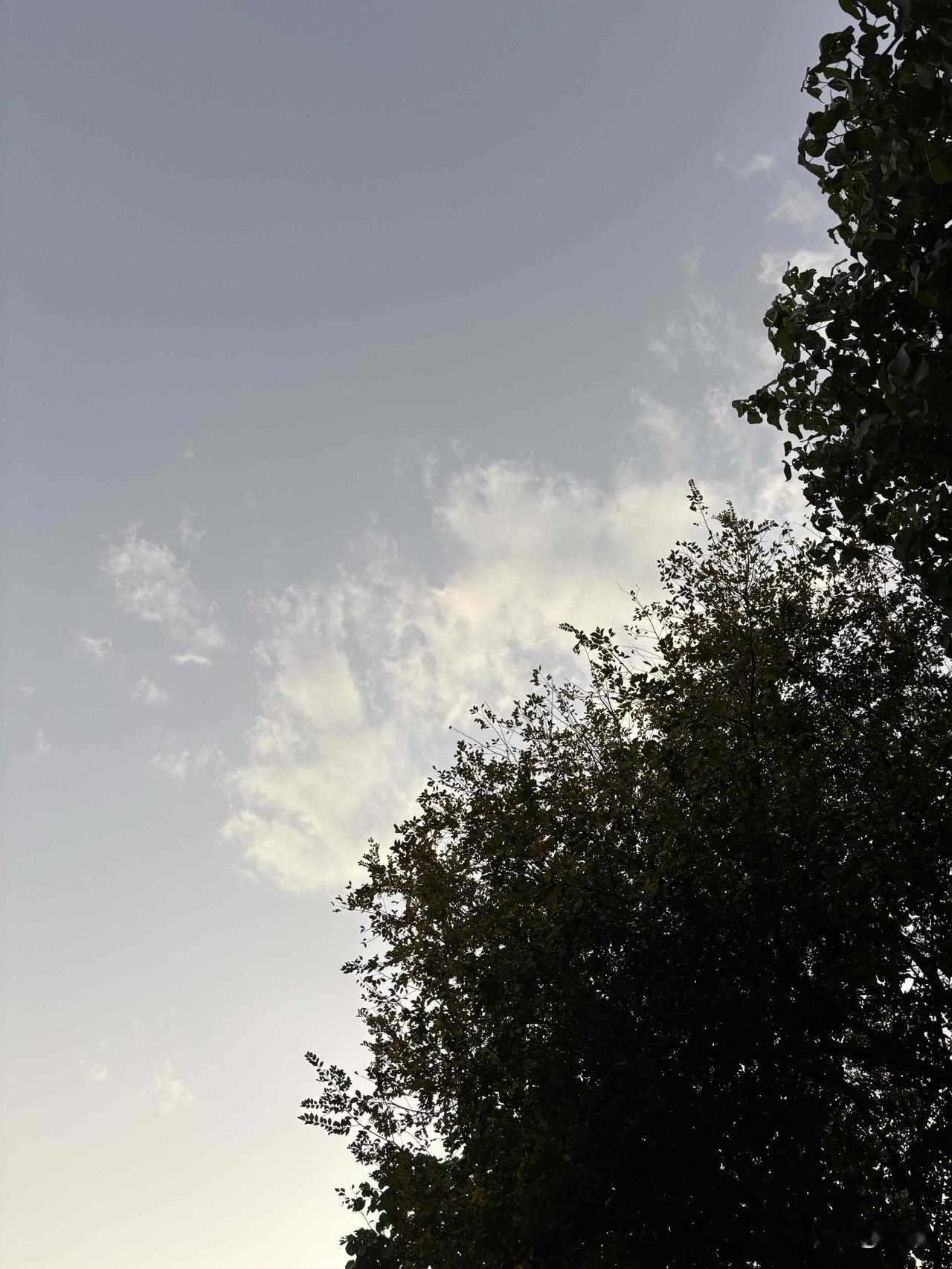 真如芒格所言，有复利的价值投资是一件很无聊的事情；

地球在自转，绕着太阳转，太