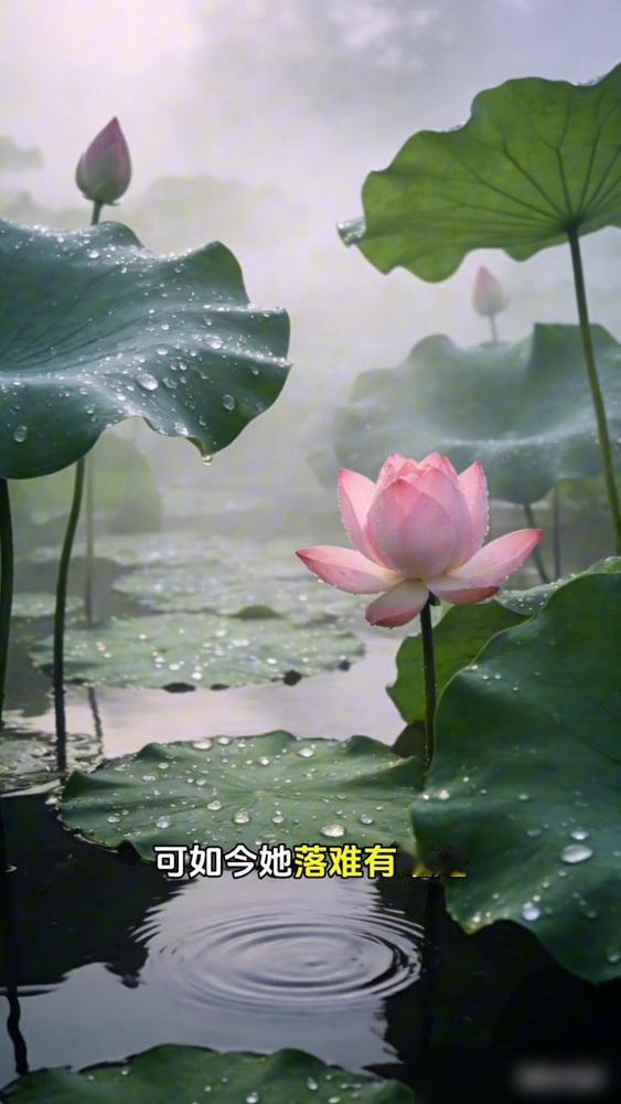 全网都在避嫌河南三妹，只有虎牙娜敢说大实话。

真的是把网红圈那点世态炎凉看的透