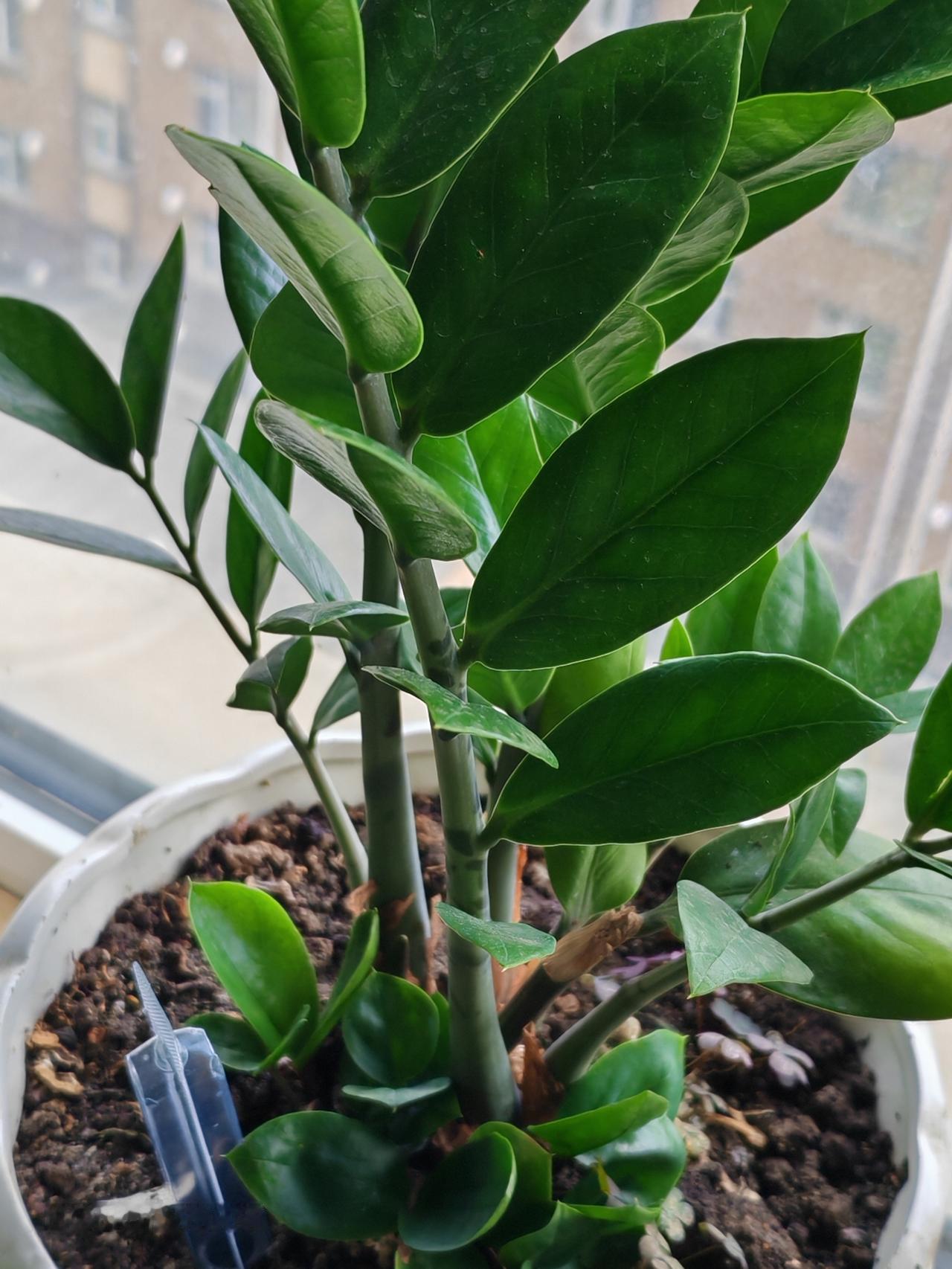 晒图笔记大赛