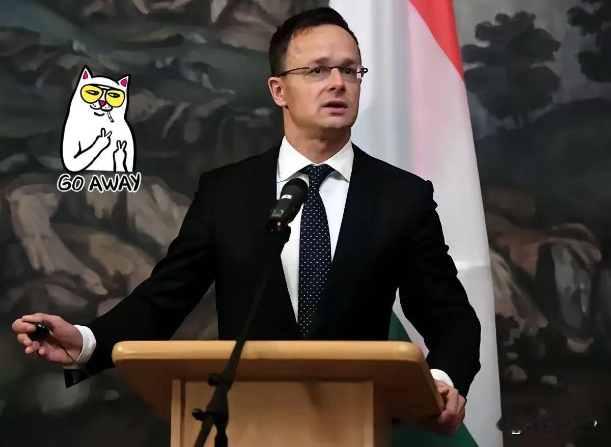 匈牙利全国寻找西雅尔多

欧洲新闻网报道，匈牙利候任总理马扎尔4月13日表示，涉